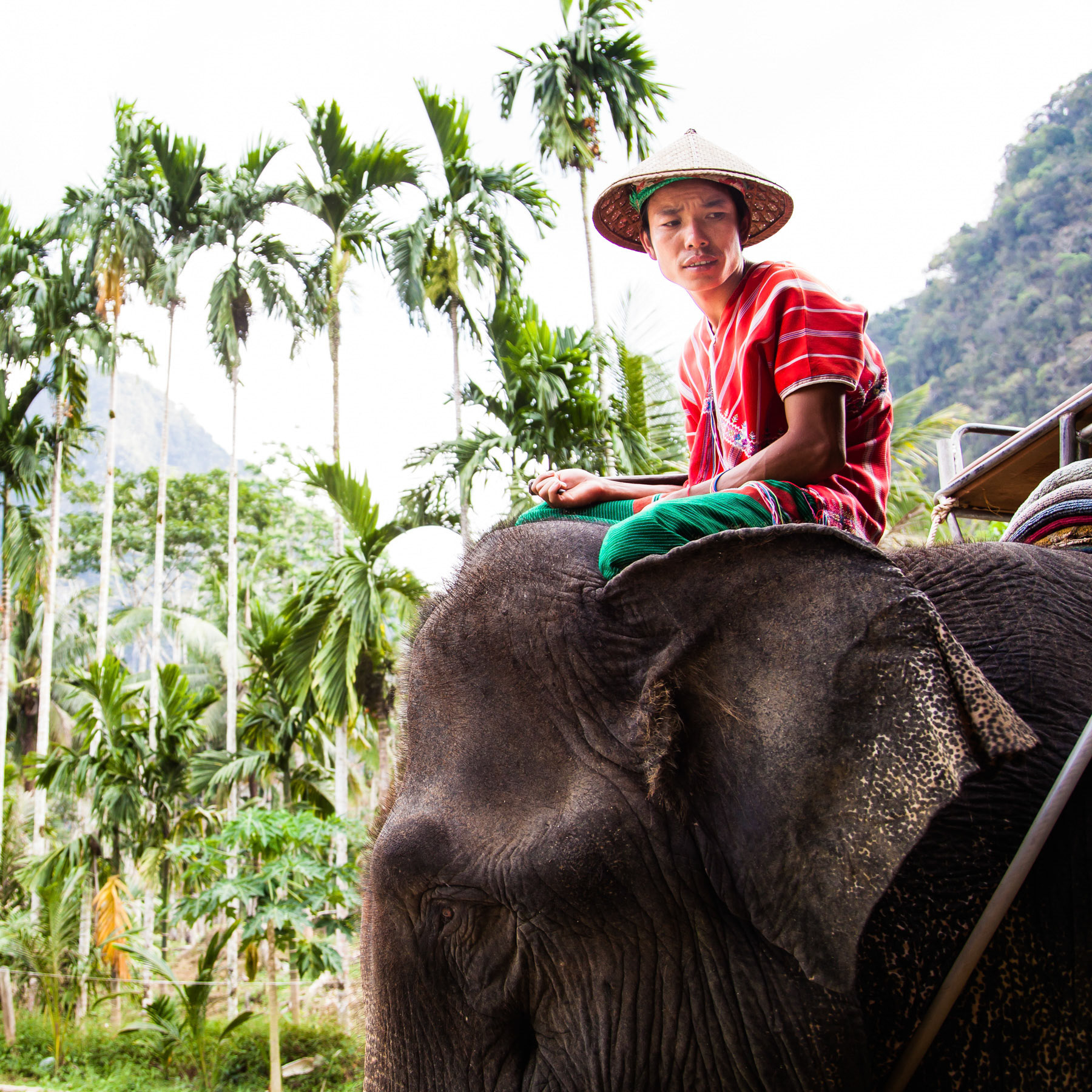 Thai Ride - Thailand