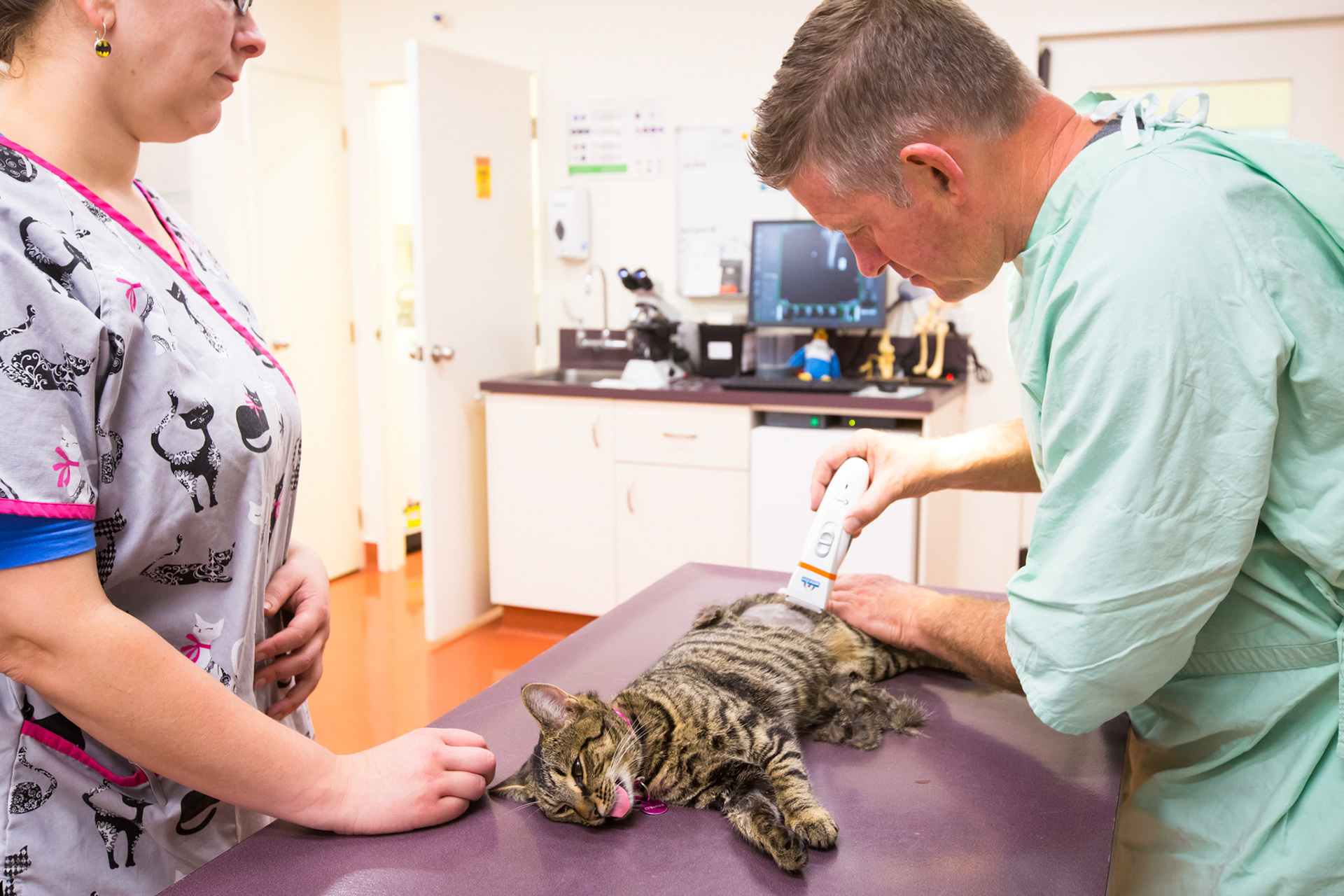 Carlyle Vet Clinic. Business Life Photography by Hawke's Bay Photographer John Miles Photography