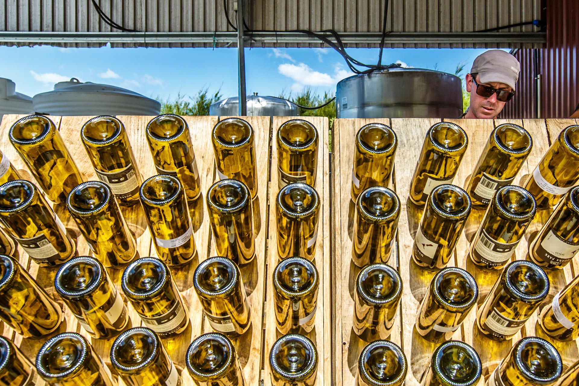 From to Bottle