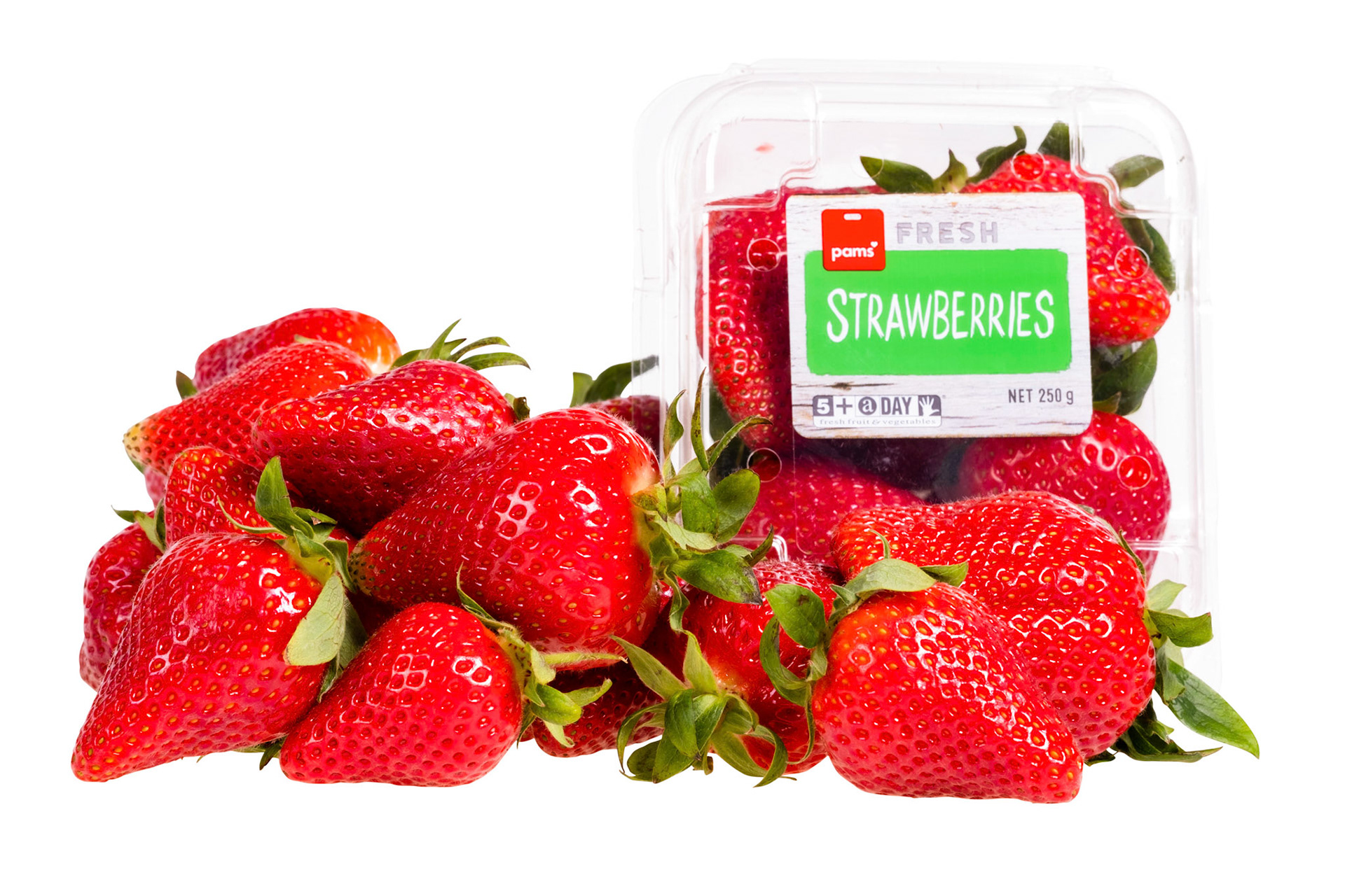 Freshmax NZ