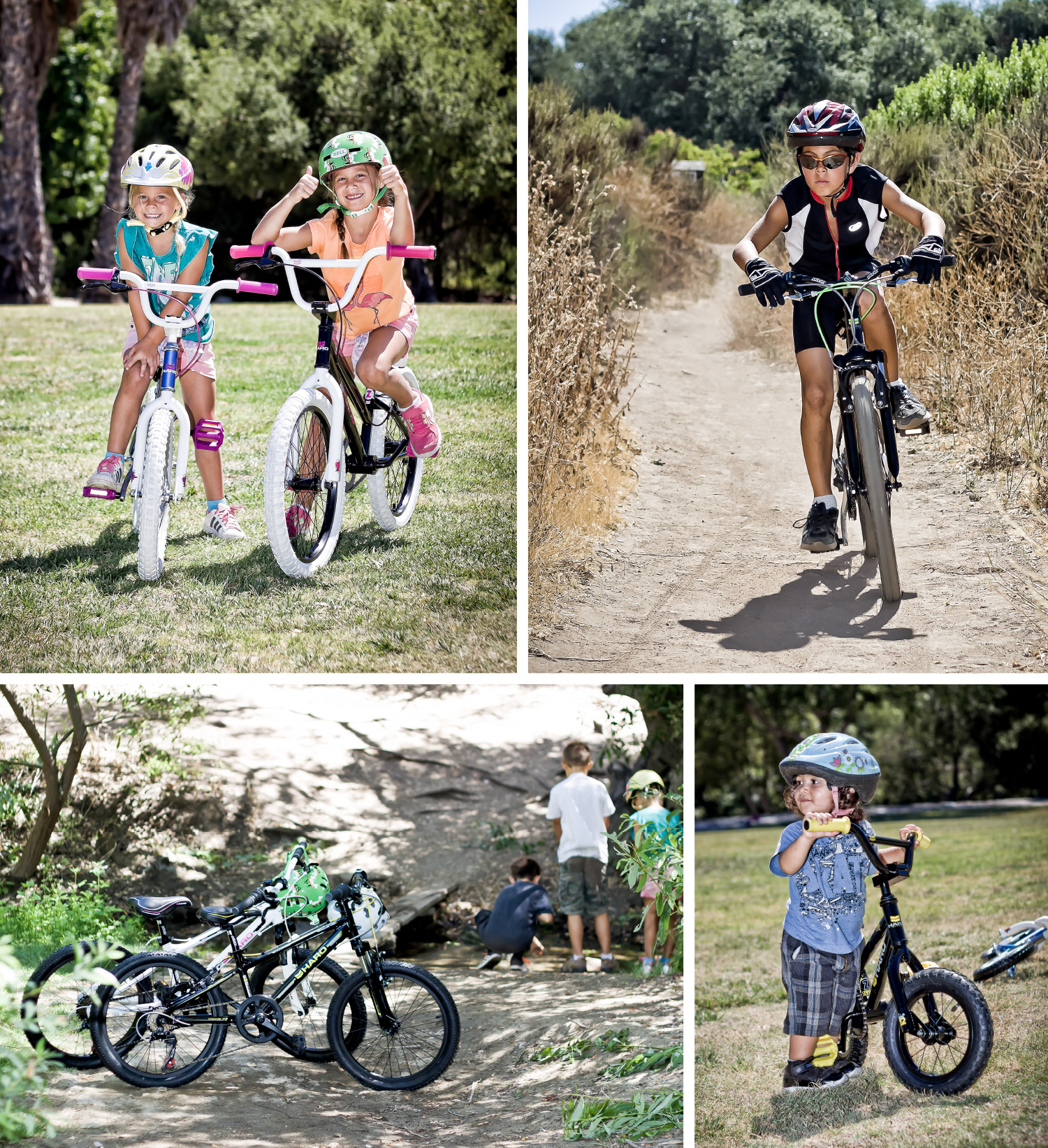 client: Haro Bikes
