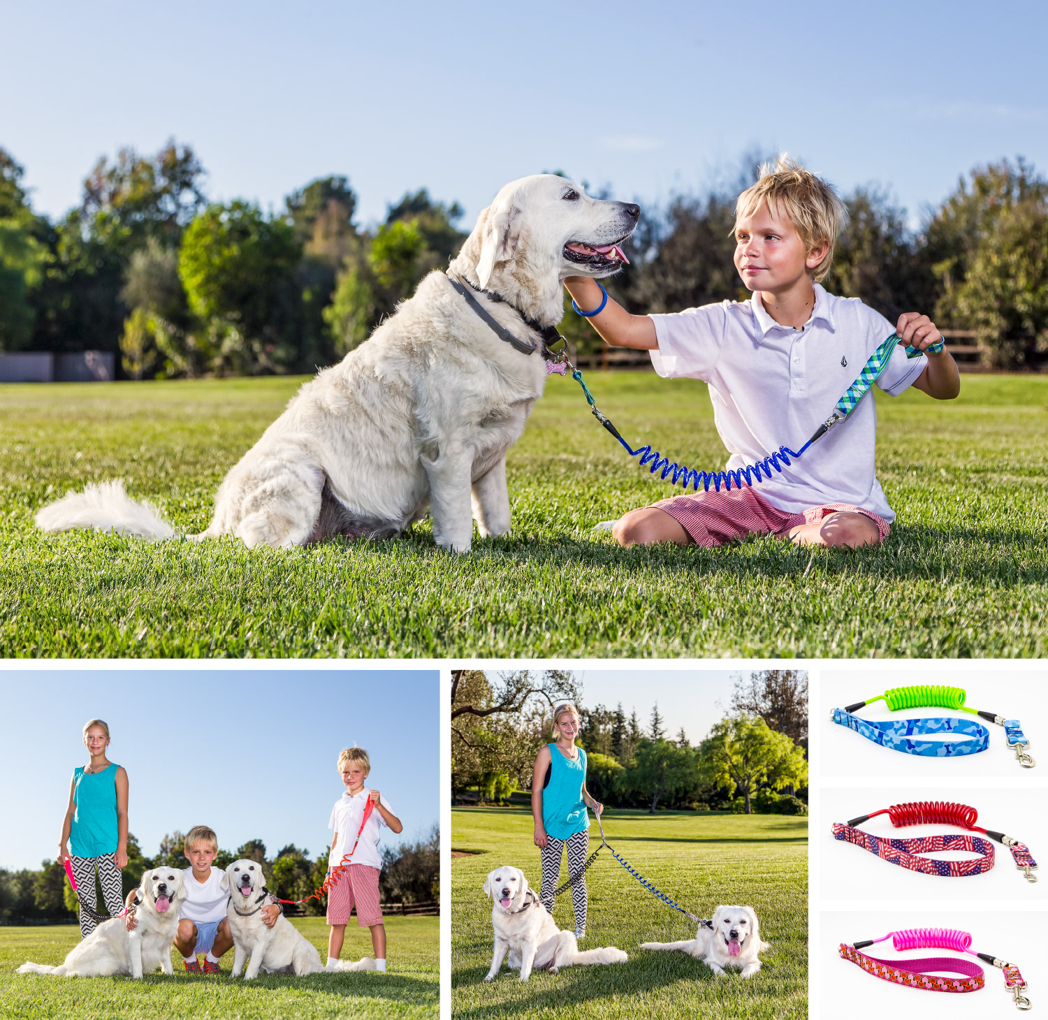 client: Good Dog Leash