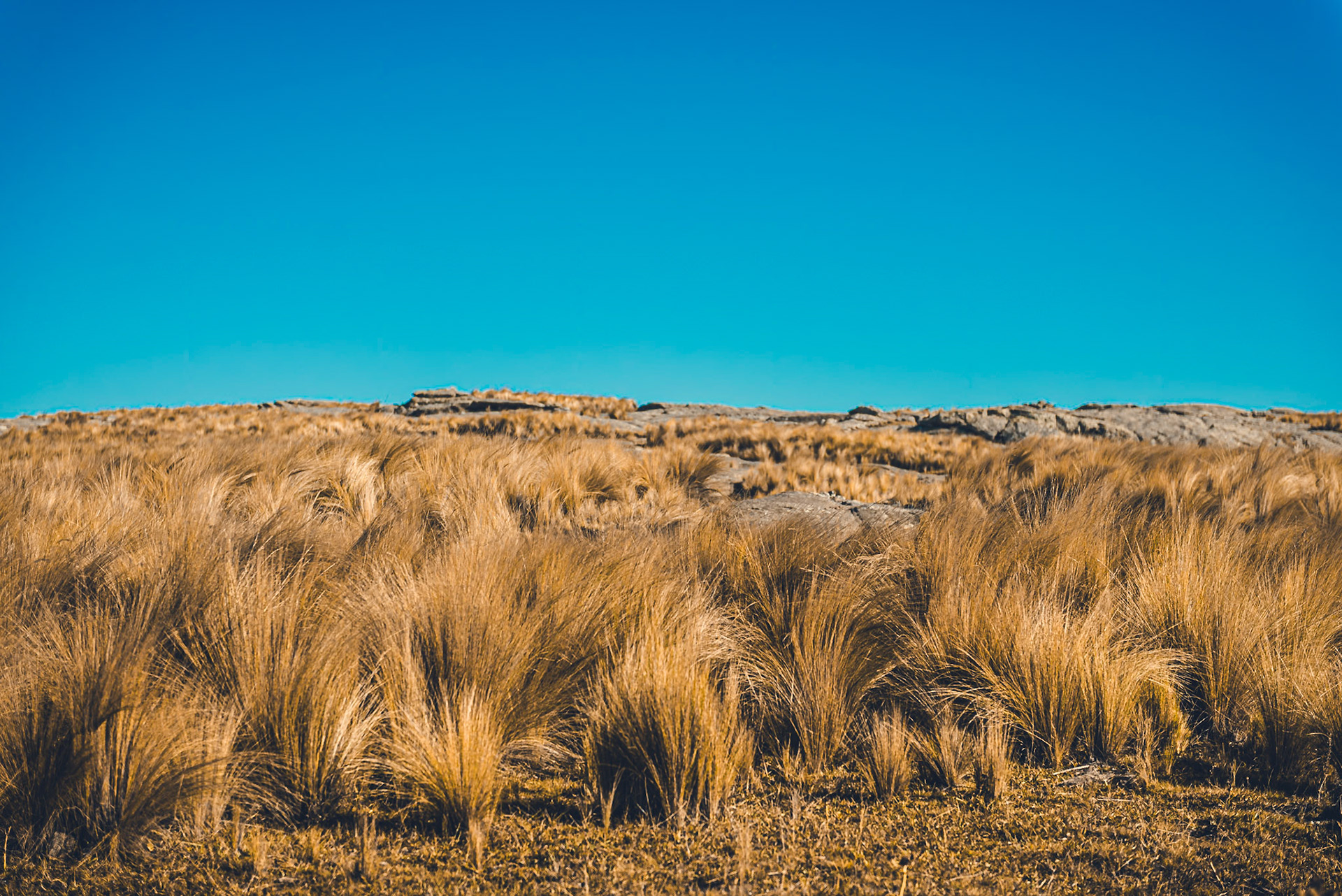 Cordón montañoso al oeste de la provincia de Córdoba, Argentina.Mountain range in the west of Cordoba province, Argentina