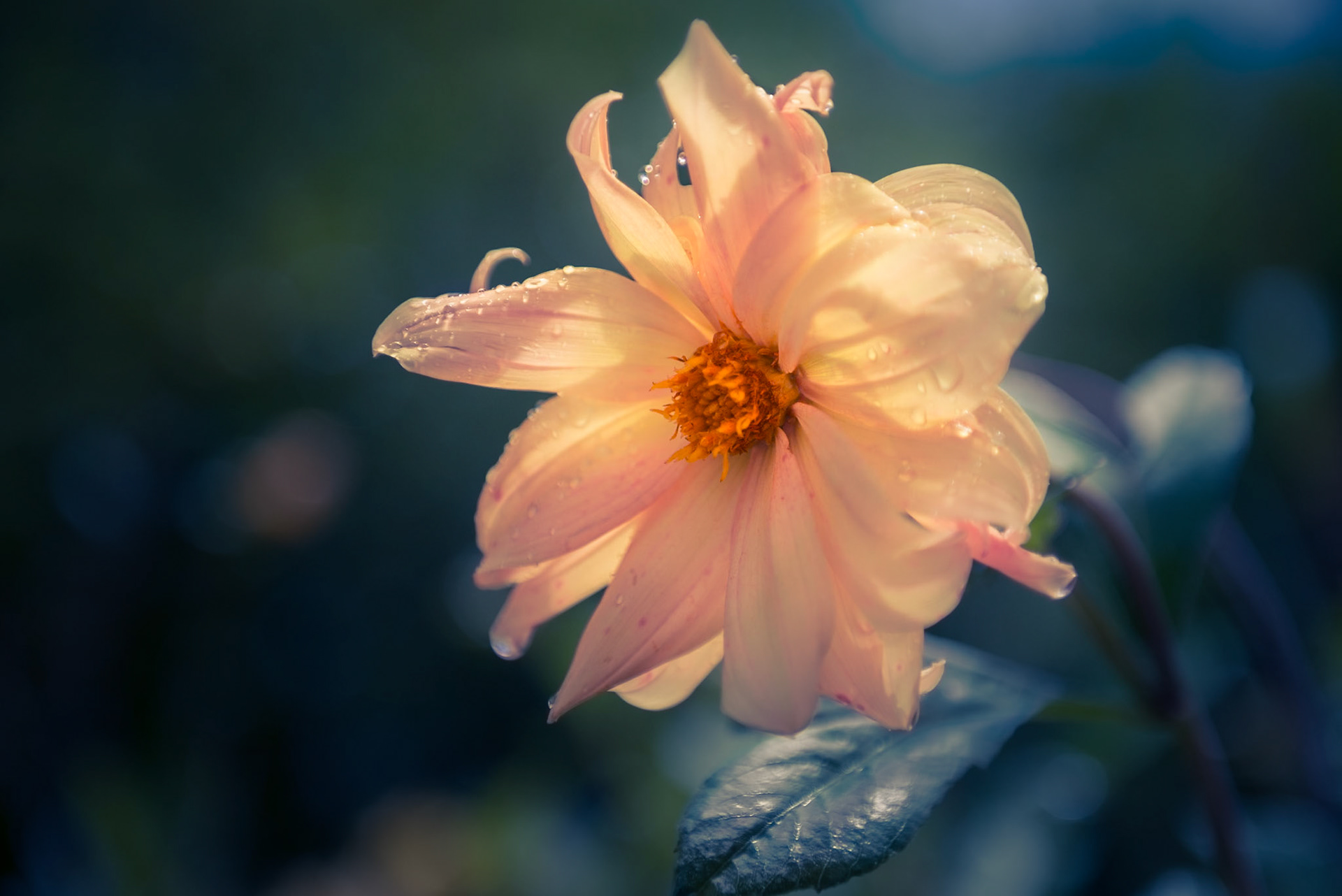 La Cumbrecita, Cordoba, Argentina.