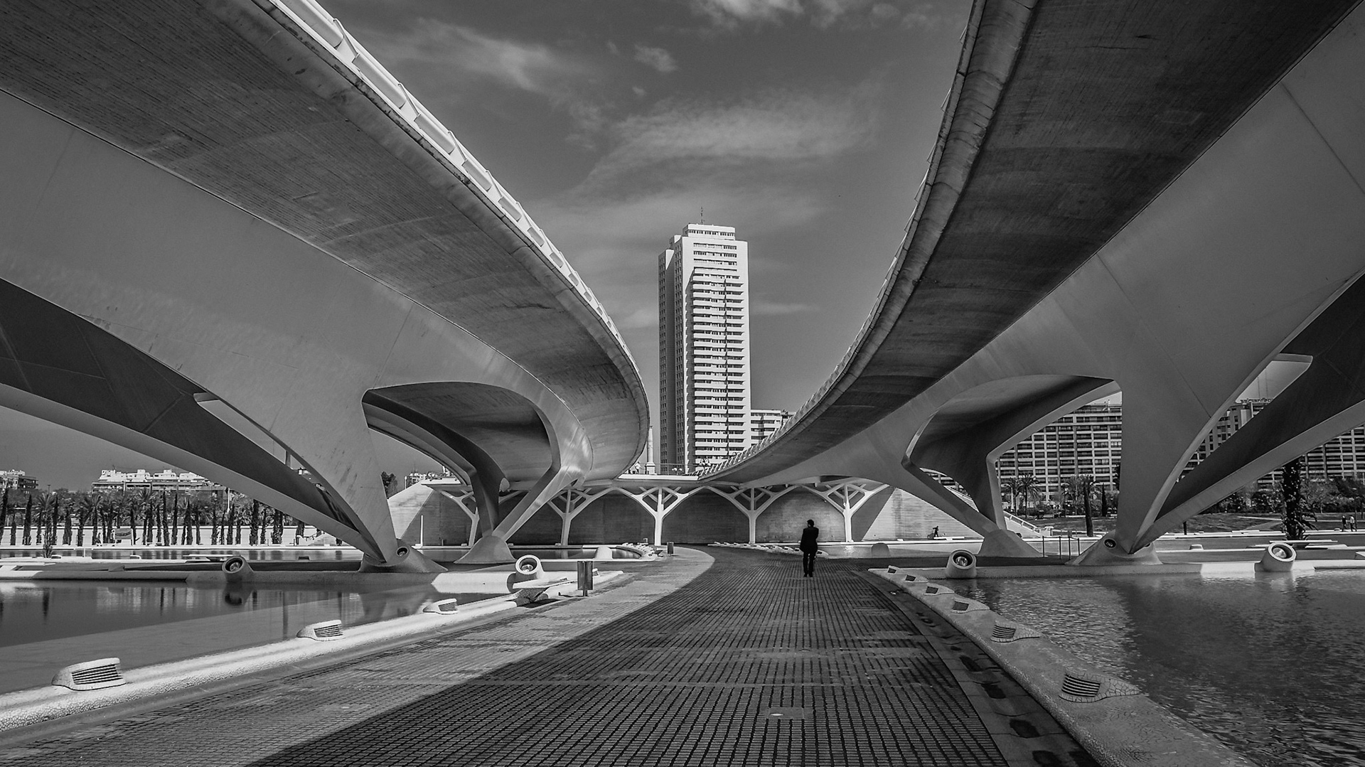 (ES) El puente de Montolivet es un puente de la ciudad de Valencia que cruza el Jardín de Turia y conecta el barrio de la Peña-roja con los de Monteolivete y de la Ciudad de las Artes y las Ciencias.Es un puente único en la ciudad por constar de dos partes. Ambos puentes constan de dos calzadas separadas por un vacío de media, con cuatro carriles a cada lado, además de una acera ancha que permite el paso de bicicletas. En el punto de unión entre los dos puentes, hay unas escaleras a cada lado, permitiendo bajar hasta el río. También hay una columna clásica que recuerda la cruz que se erigió durante la visita del Papa Benedicto XVI a la ciudad, cuando éste utilizó el puente de escenario para su parlamento.
(EN) Monteolivete Bridge is a bridge that crosses the city of Valencia Turia Gardens and connects the neighborhood with Red Cliff Montolivet and the City of Arts and Sciences.It is a unique bridge in the city consisted of two parts. Both bridges have two lanes separated by a gap on average, with four lanes on each side, plus a wide sidewalk that allows the passage of bicycles. At the junction between the two bridges, there are stairs on each side, allowing down to the river. There is also a classical column resembling the cross erected there during the visit of Pope Benedict XVI in the city when the bridge was used as stage for his speech.