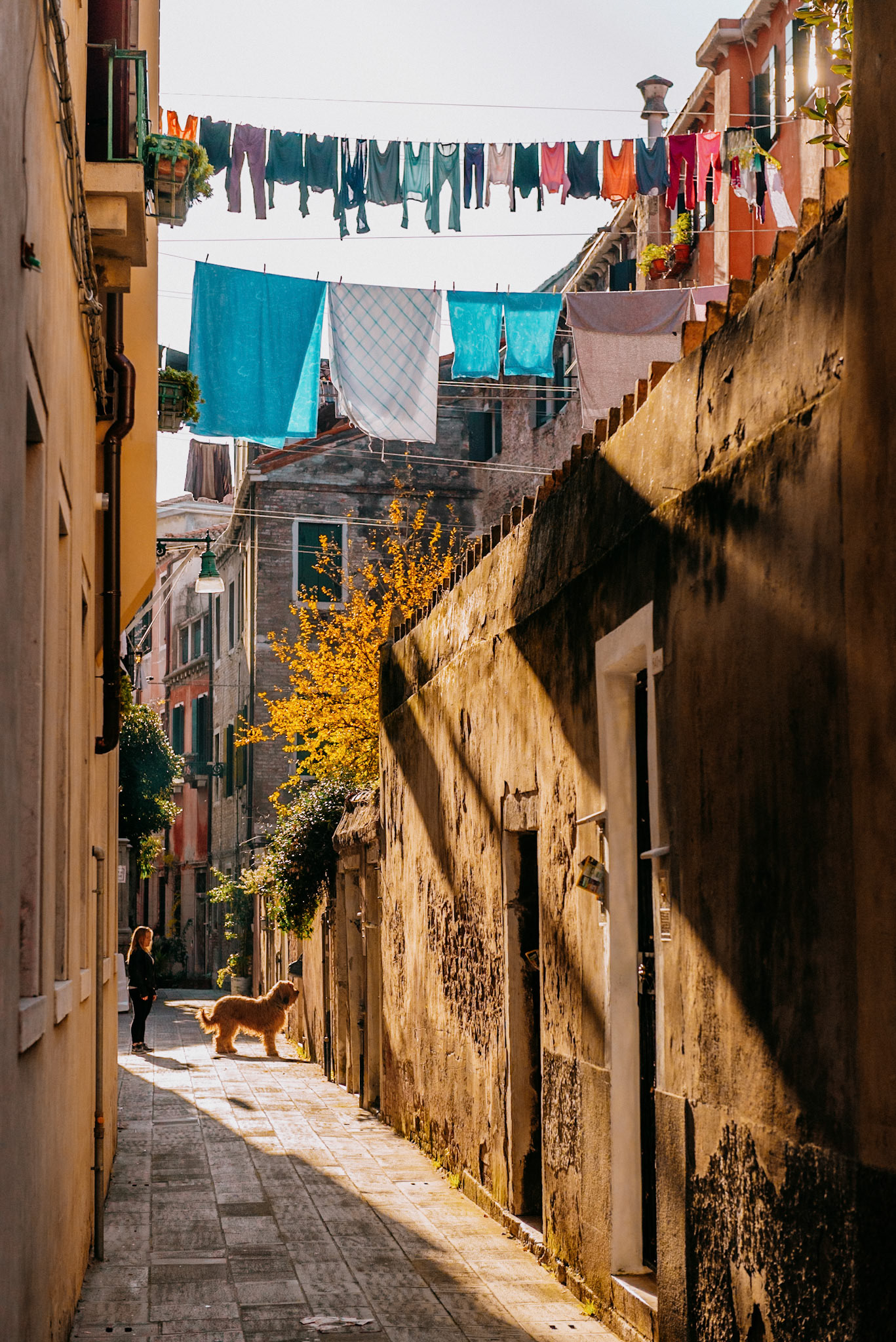 Callejuela de Venecia