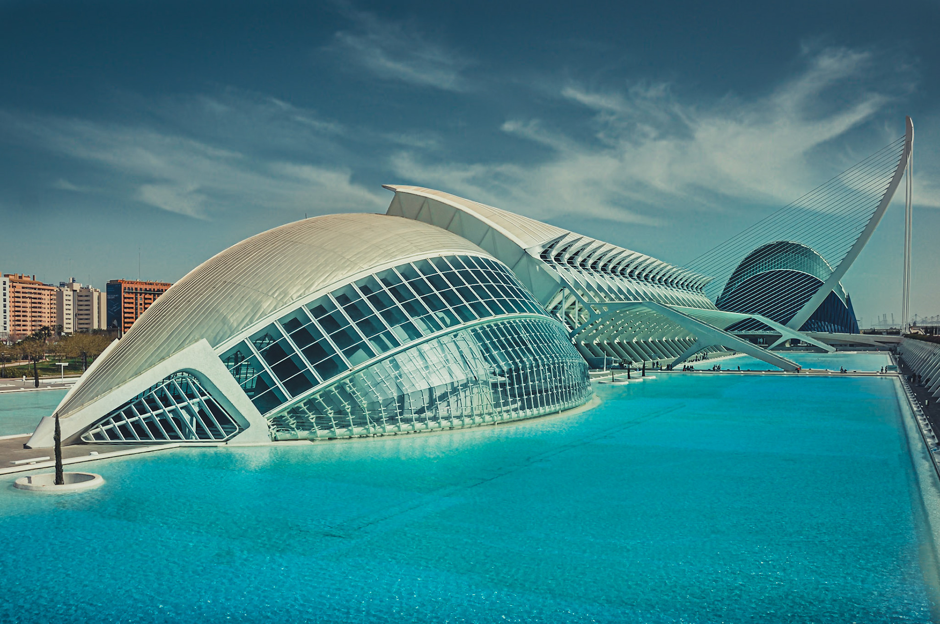 (ES) La Ciudad de las Artes y las Ciencias de Valencia es un conjunto único dedicado a la divulgación científica y cultural, que está integrado por seis grandes elementos: el Hemisfèric (cine IMAX y proyecciones digitales), el Umbracle (mirador ajardinado y aparcamiento), el Museo de las Ciencias Príncipe Felipe (innovador centro de ciencia interactiva), el Oceanogràfic (el mayor acuario de Europa con más de 500 especies marinas) y el Palau de les Arts Reina Sofía (dedicado la programación operística). Y el Ágora, que dota al complejo de un espacio multifuncional.A lo largo de un eje de casi dos kilómetros, en el antiguo cauce del río Turia, este complejo impulsado por la Generalitat Valenciana sorprende por su arquitectura - obra de Santiago Calatrava y Félix Candela - y por su inmensa capacidad para divertir y estimular las mentes de sus visitantes que, recorriendo sus edificios, conocen diferentes aspectos relacionados con la ciencia, la tecnología, la naturaleza o el arte.(EN) The Ciudad de las Artes y las Ciencias in Valencia is an unique complex devoted to scientific and cultural dissemination which is composed of six major elements: Hemisfèric (IMAX cinema and digital projections), the Umbracle (garden and parking bay), the Prince Felipe Museum of Sciences (an innovative center of interactive science), the Oceanographic (the largest aquarium in Europe with over 500 marine species) and the Palau de les Arts Reina Sofia (opera dedicated programming). And the Agora, which gives the complex a multifunctional space. Along an axis of nearly two kilometers in the old Turia river, this complex promoted by the Generalitat Valenciana striking architecture - designed by Santiago Calatrava and Felix Candela - and its immense capacity to entertain and stimulate the minds their visitors, visiting its buildings, know different aspects of science, technology, nature and art.