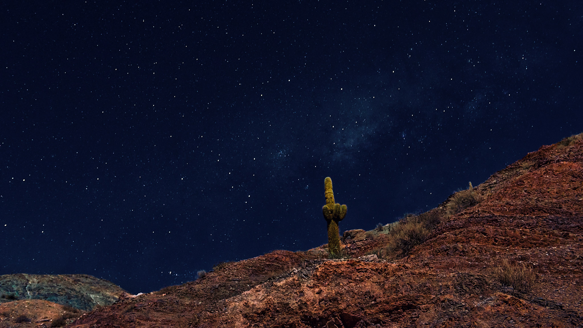 Guardian de Los Colorados