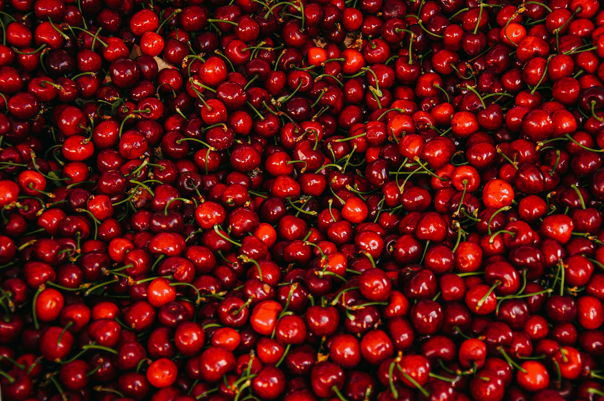 Red Cherry
