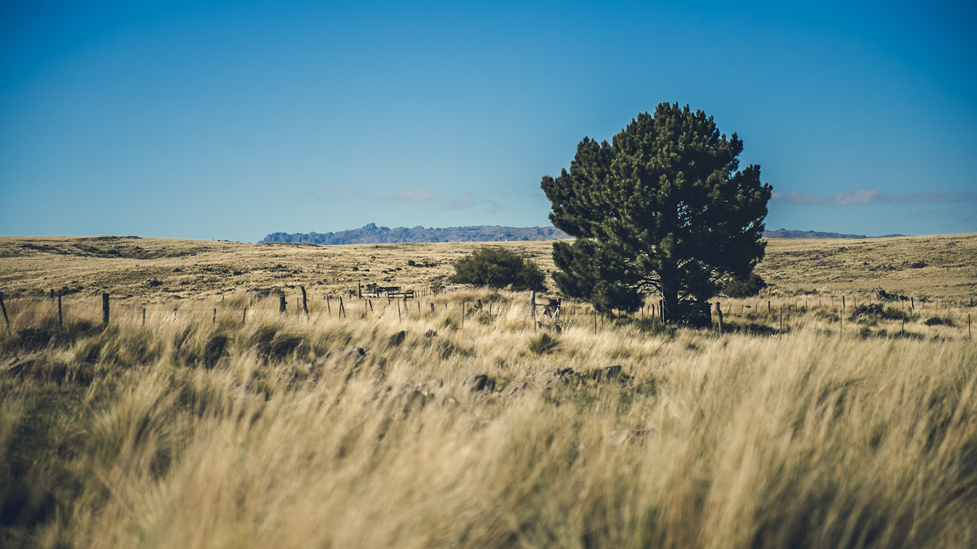 Cordón montañoso al oeste de la provincia de Córdoba, Argentina.Mountain range in the west of Cordoba province, Argentina