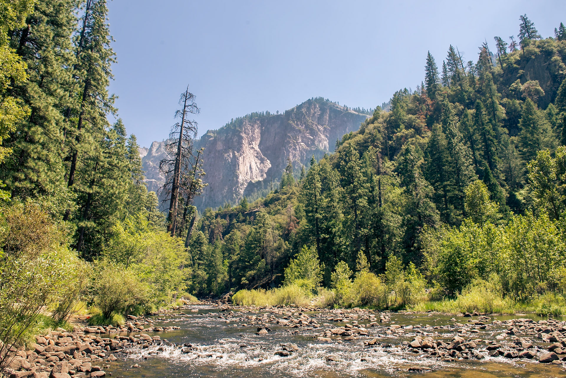 Merced river on the Yosemite National Park. California, USA.