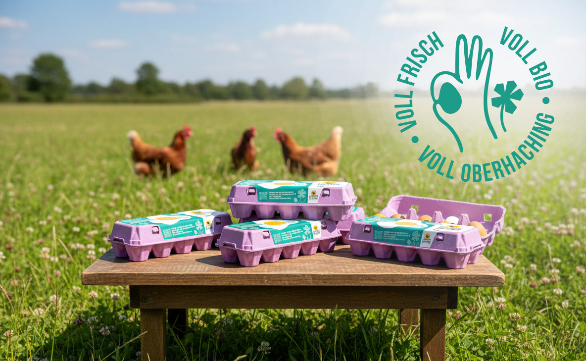 Verpackungsdesign mit illustrativen Elementen, Eierkarton-Etikett Gestaltung, Branding 