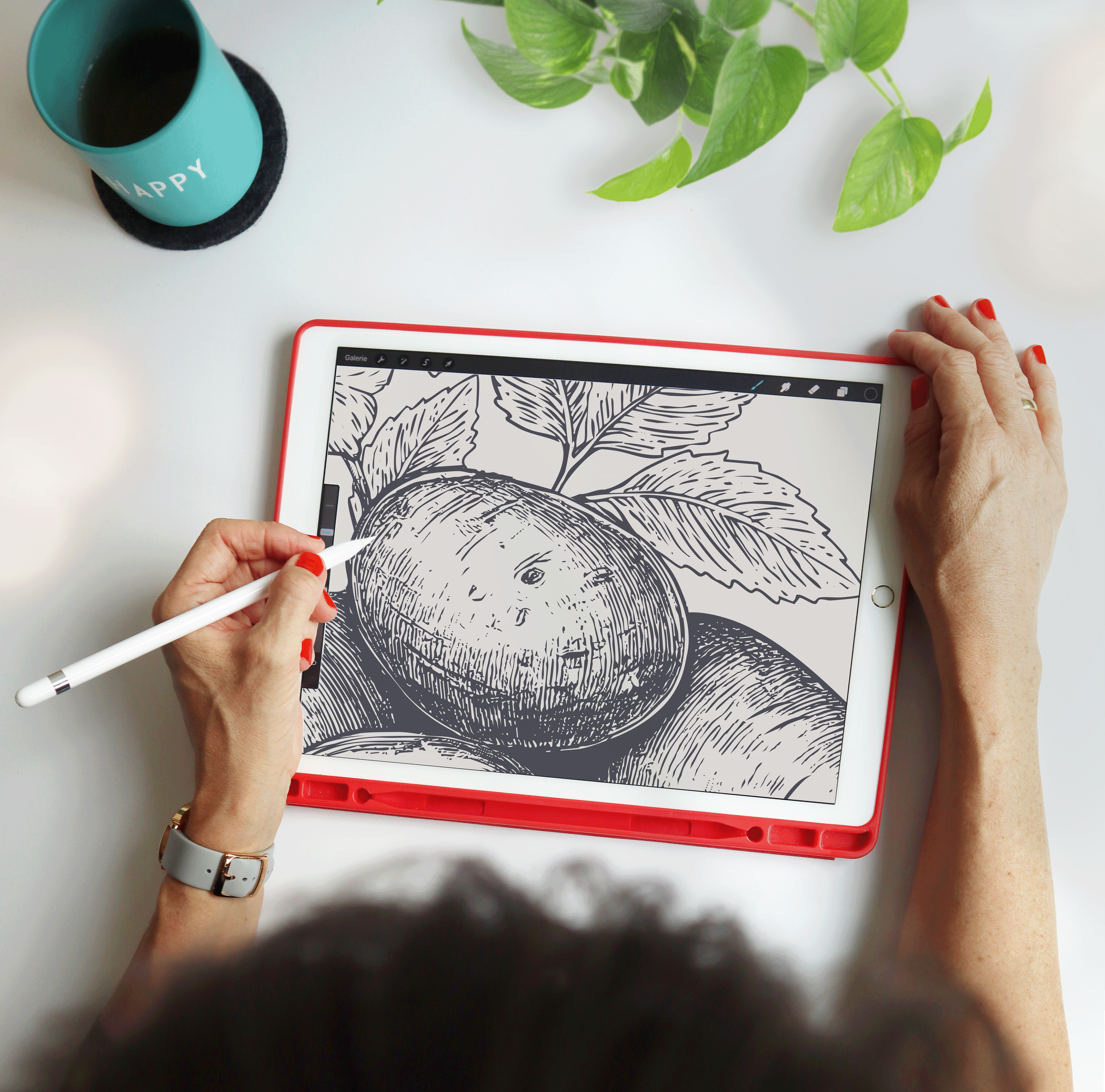 illustratives Branddesign, Kartoffelpflanzen Illustration für eine Tüten-Verpackung
