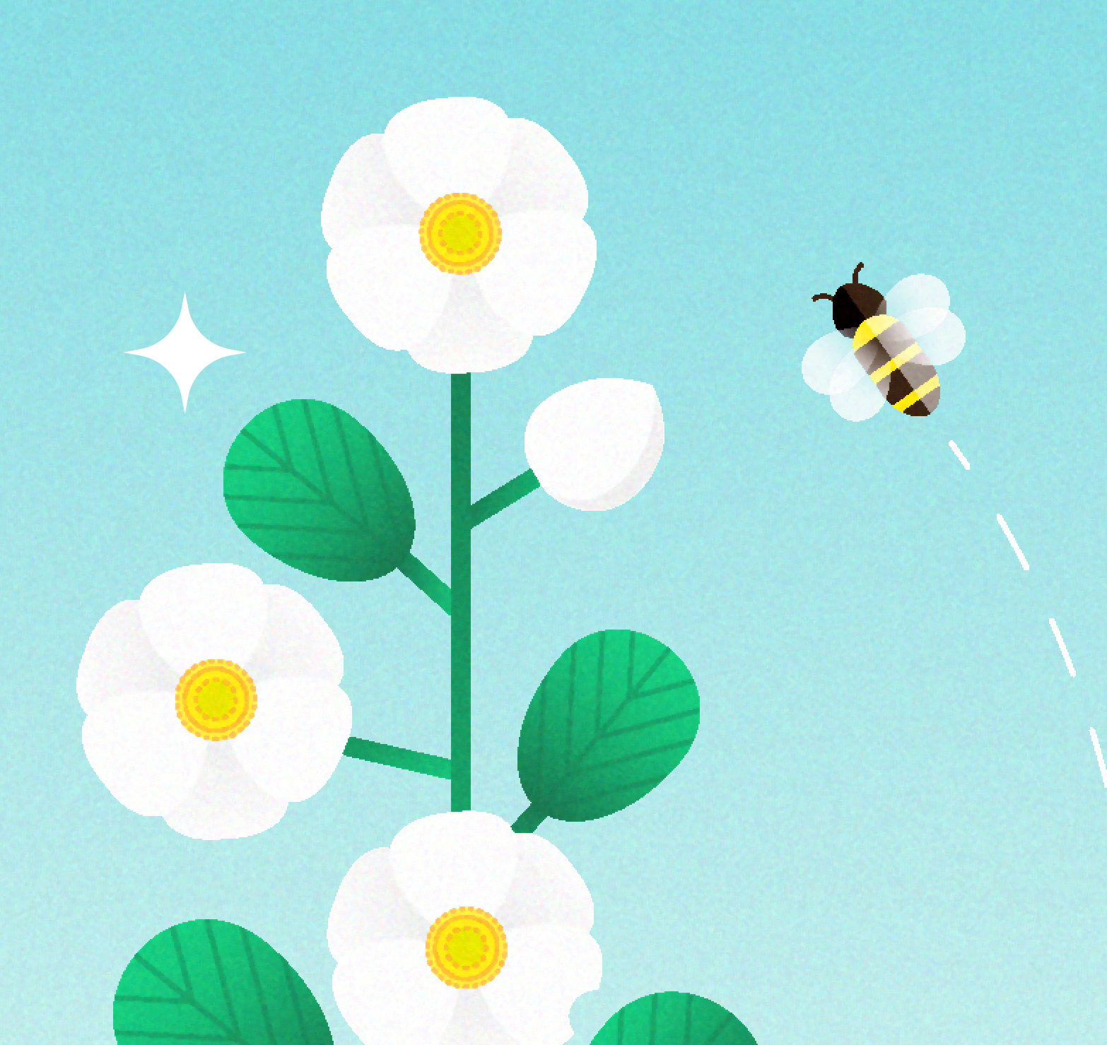 Die Abbildung zeigt einen Teil der Illustration als Pfadansicht, schwarze, feine Vektoren-Linien zeigen teilweise das Gerüst der final farbigen Motiv Illustration, eine Biene und weiße Blüten