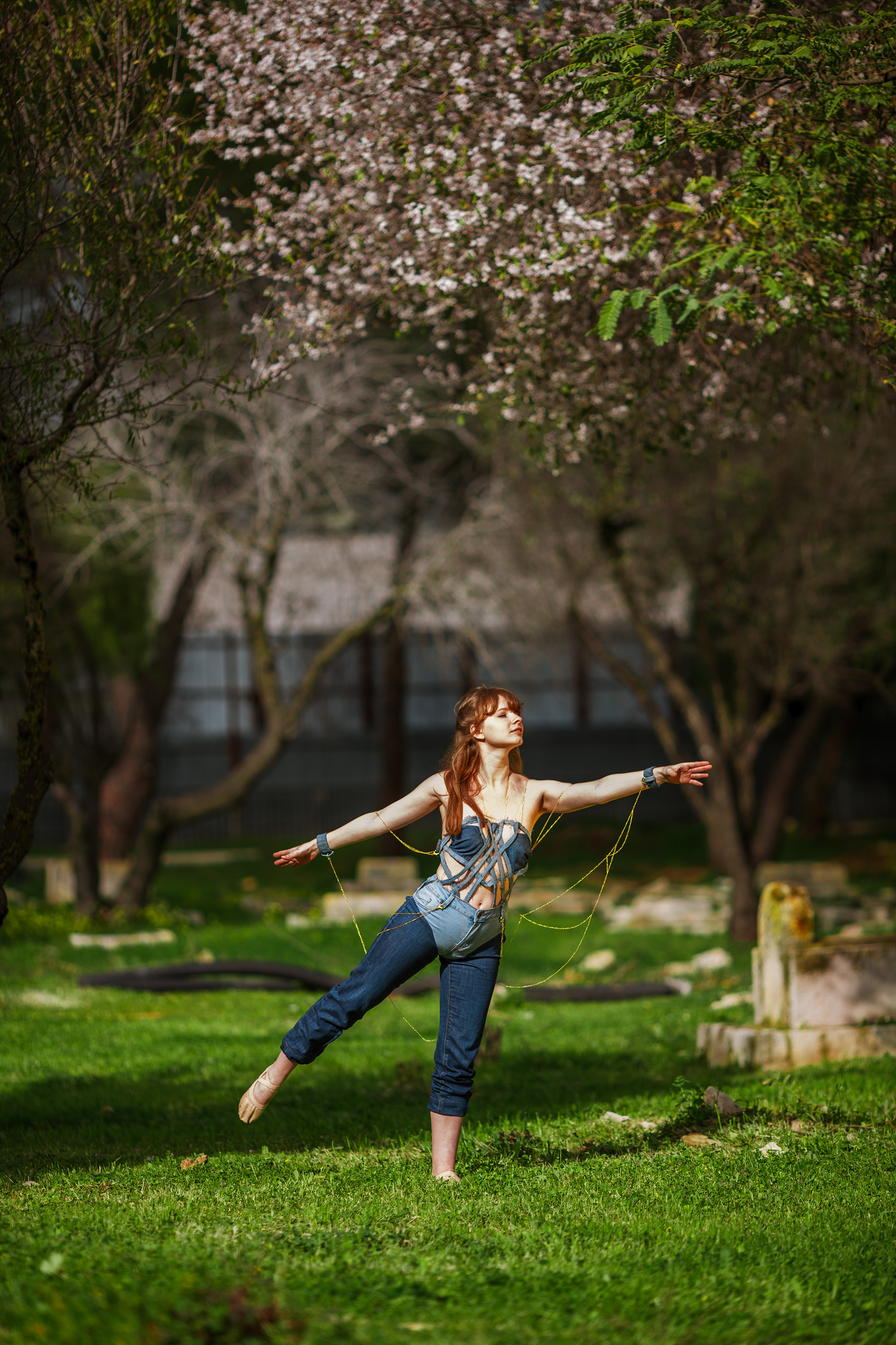 A bird in the garden