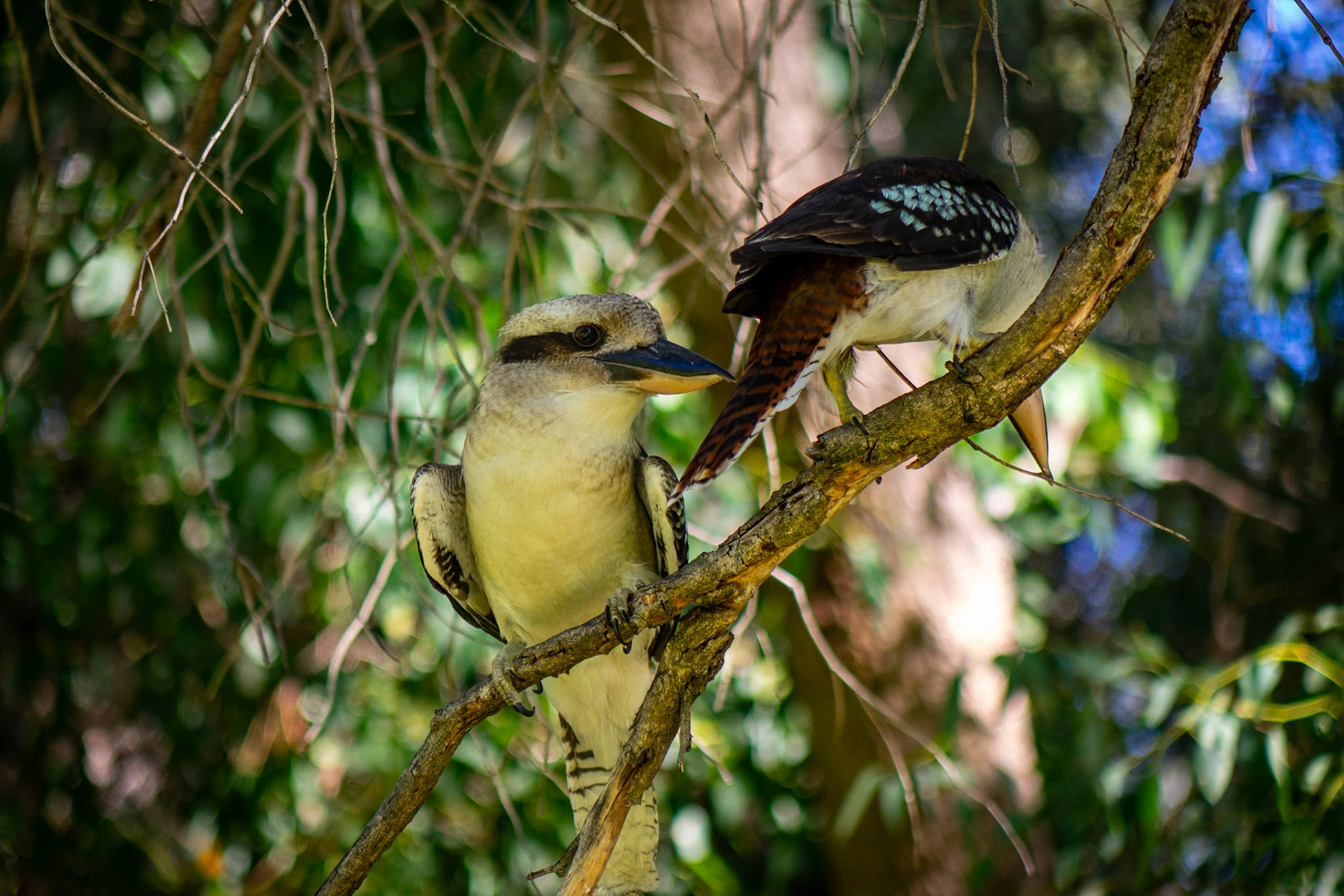 Check out my good side