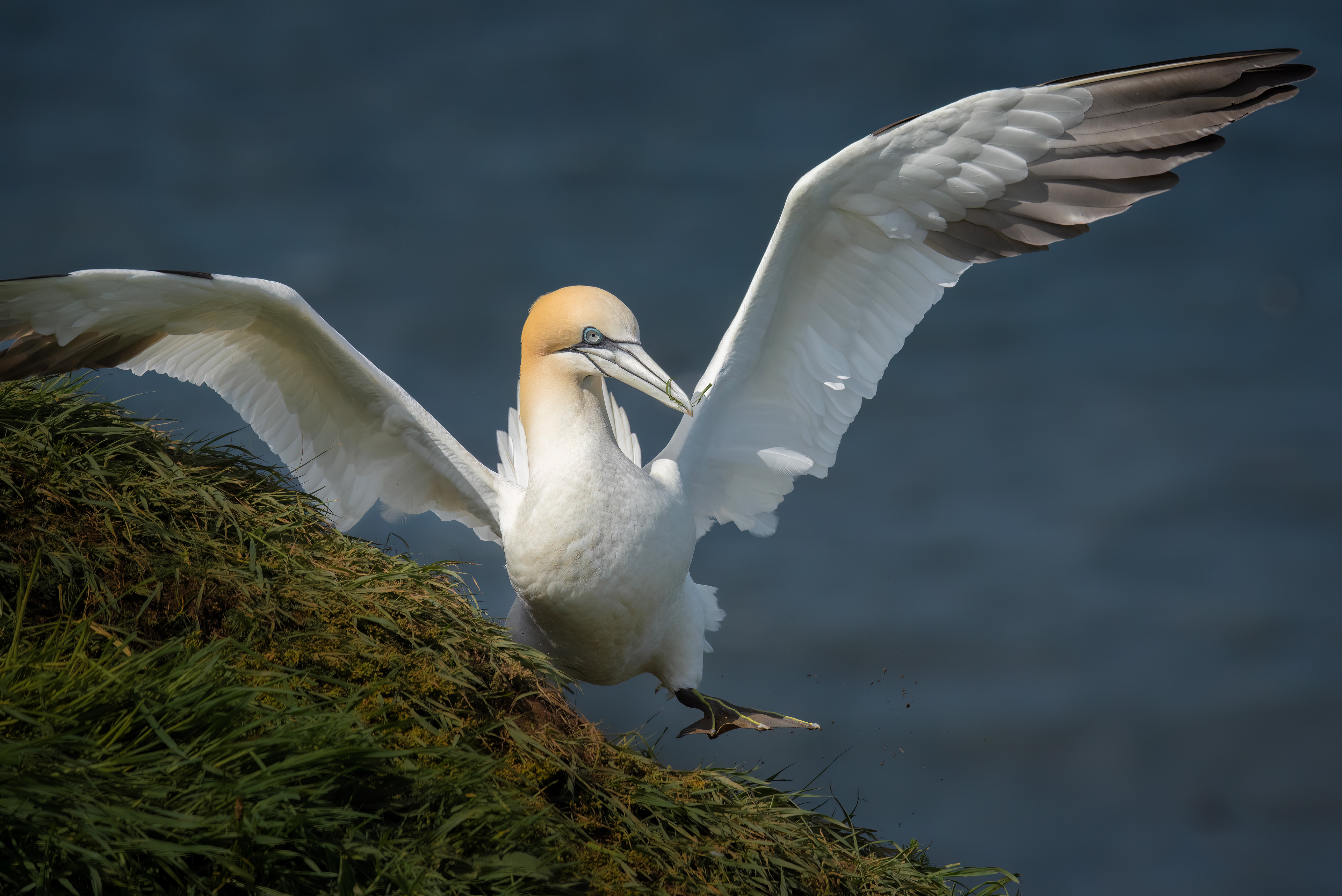 dksjvnalkjvnalkjdvnakljdfnv