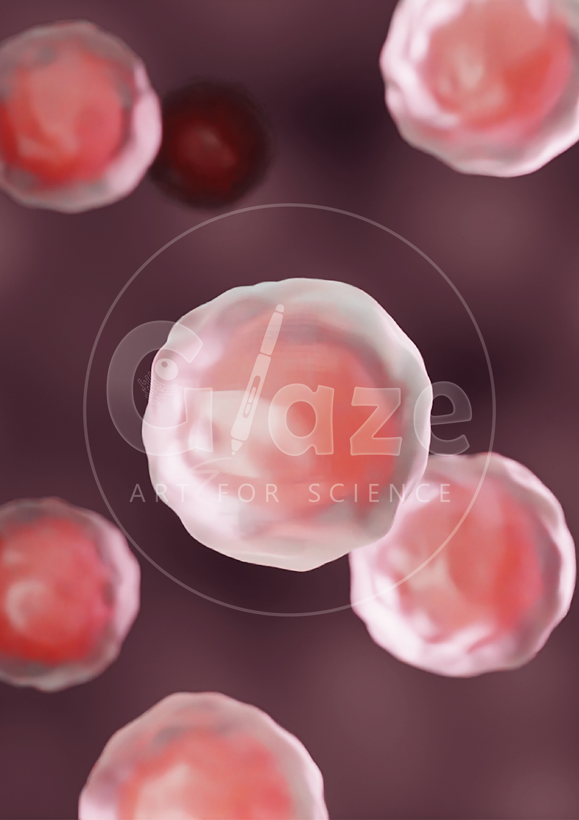 Simple cells