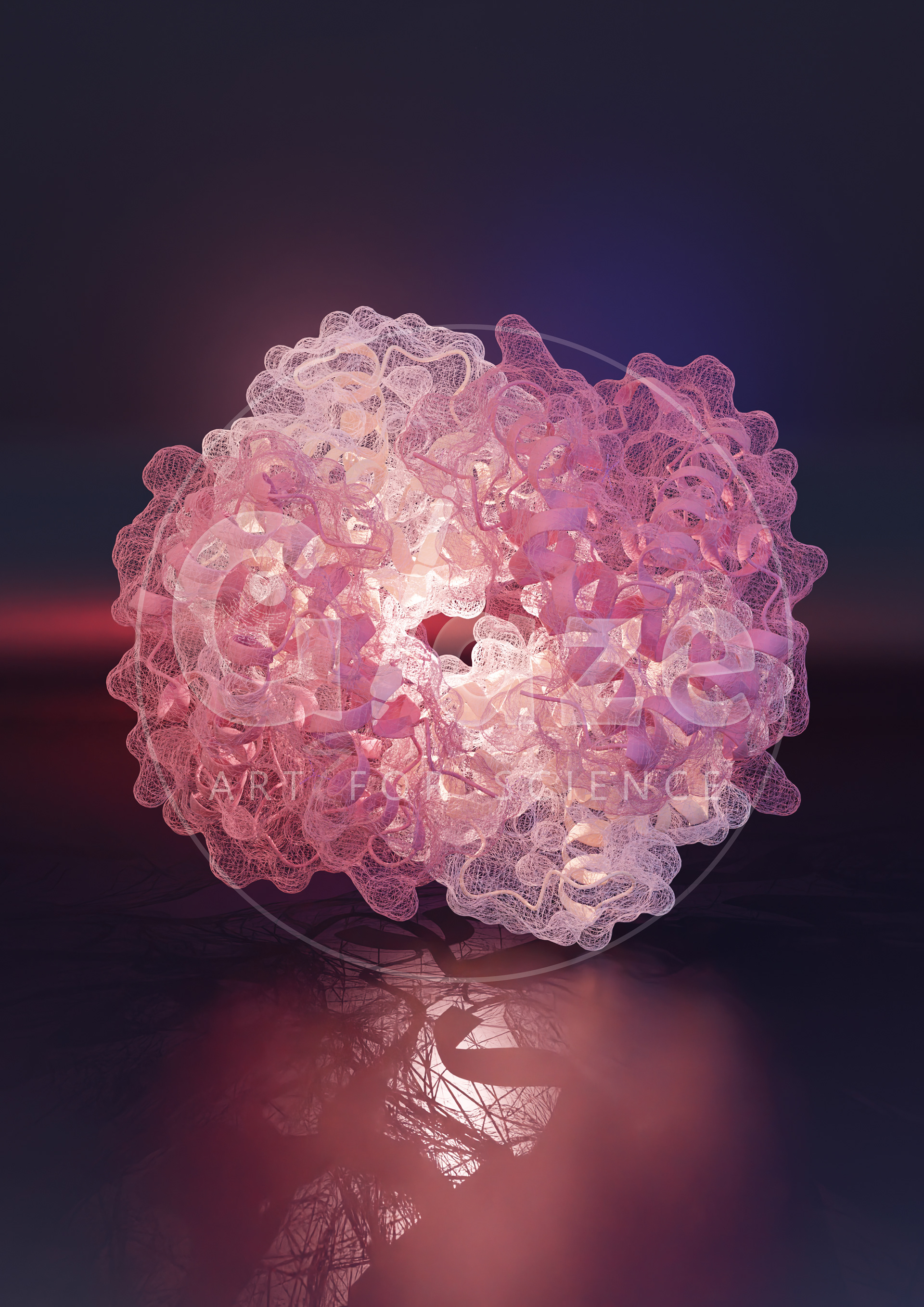 Hemoglobin (PDB: 1A3N)