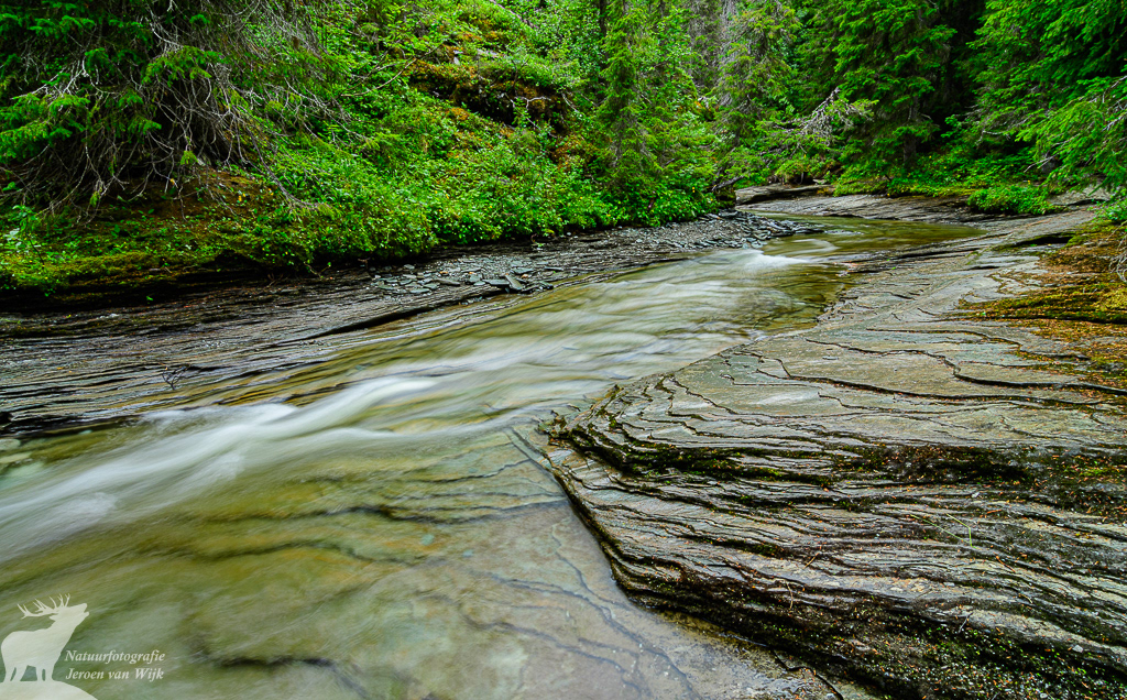 River near Brakkåfallet, Sweden, 2021.