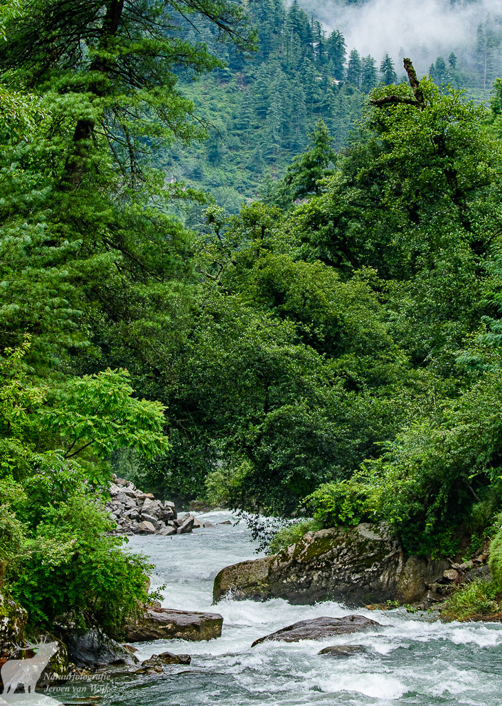 River in Tirthan Valley