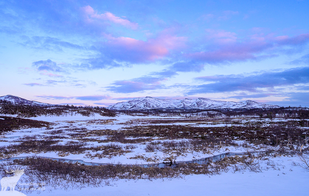 Snowy valley during sunset, Funäsdalen