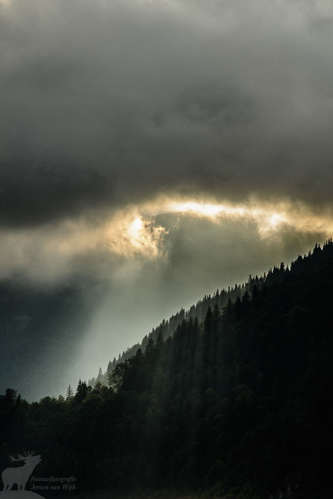 Sun breaking through the clouds after a rain shower.