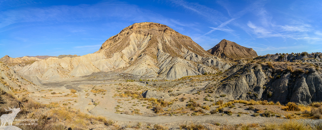 Tabernas desert