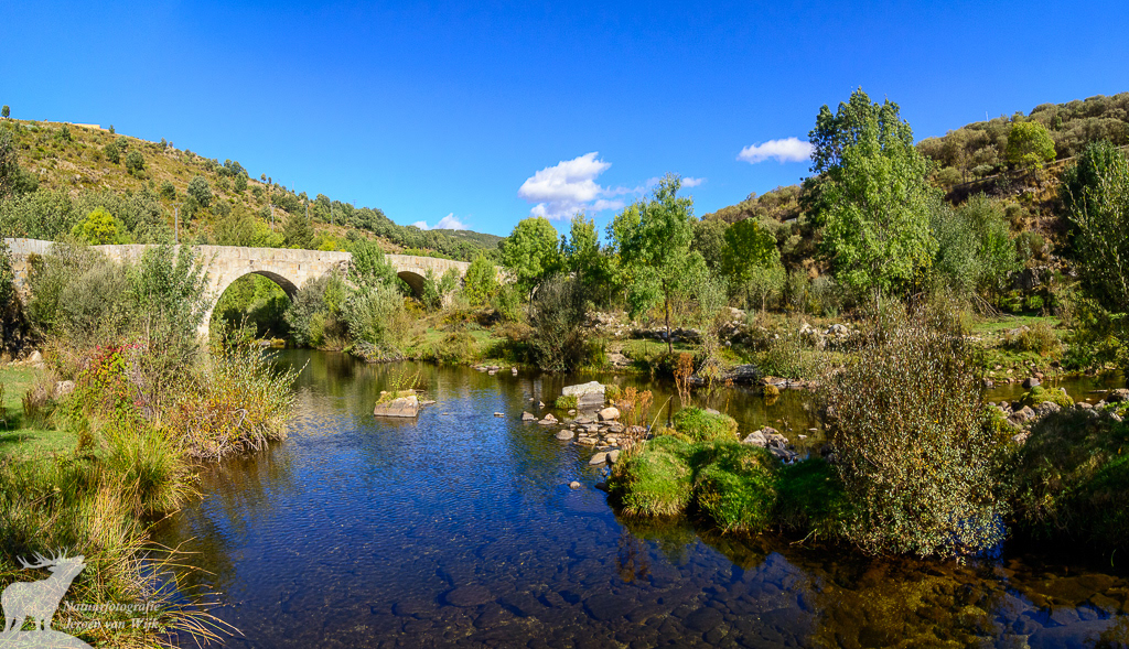 Sierra de Gredos