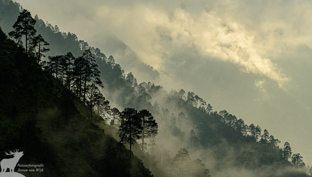 Foggy Tirthan Valley