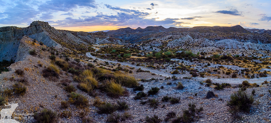 Tabernas Desert