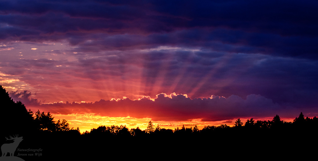 Sunset above the primeval forest of Białowieża