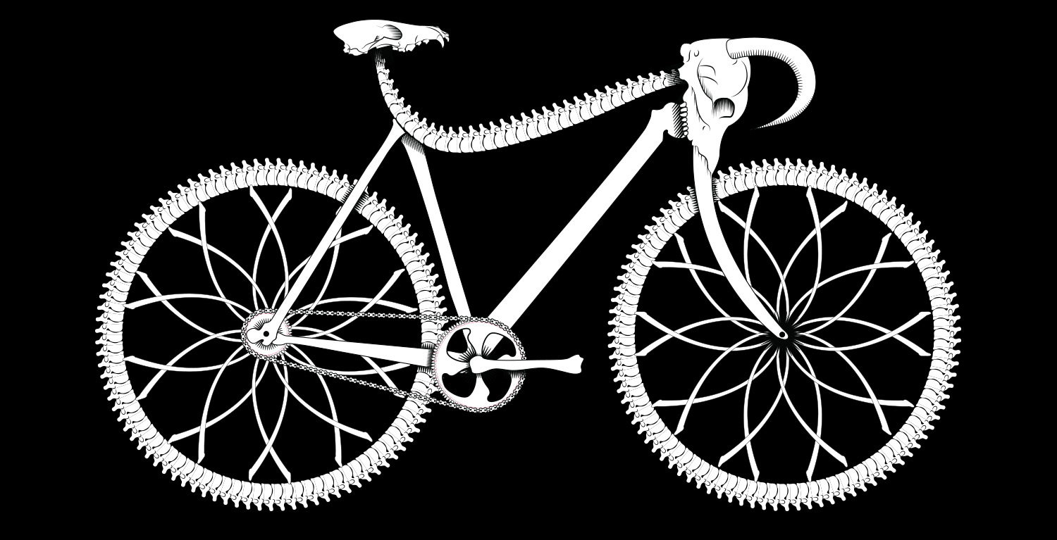 illustration of a bicycle made out of bones