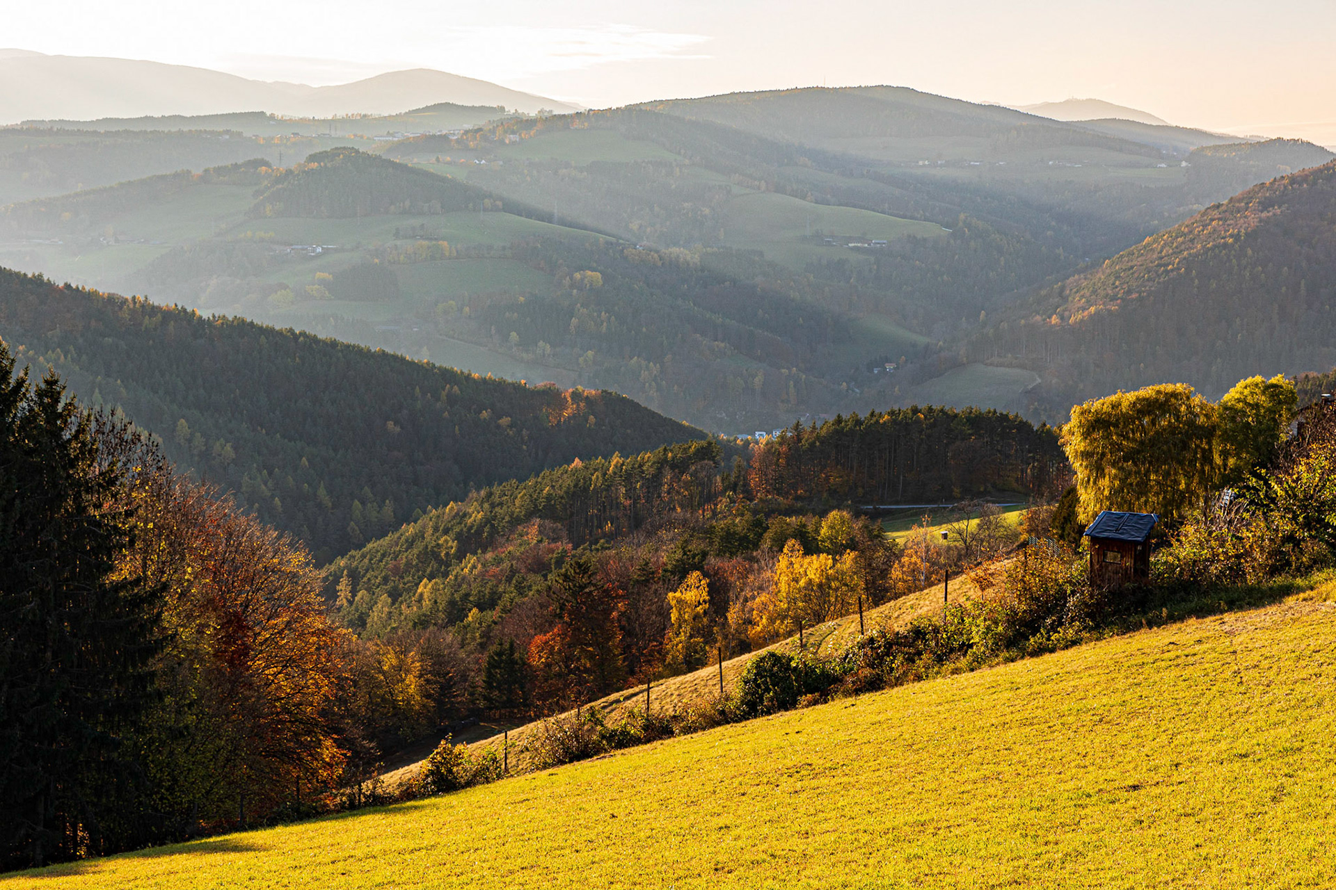 Autumn near Kienegg, Bucklige Welt, Lower Austria