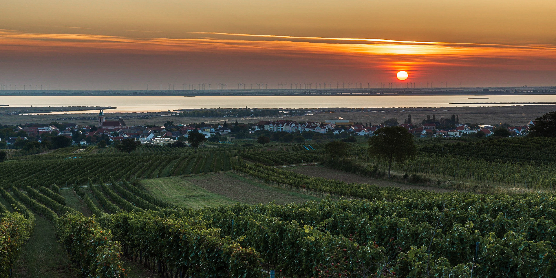 Morning at the Neusiedlersee, Burgenland, Austria