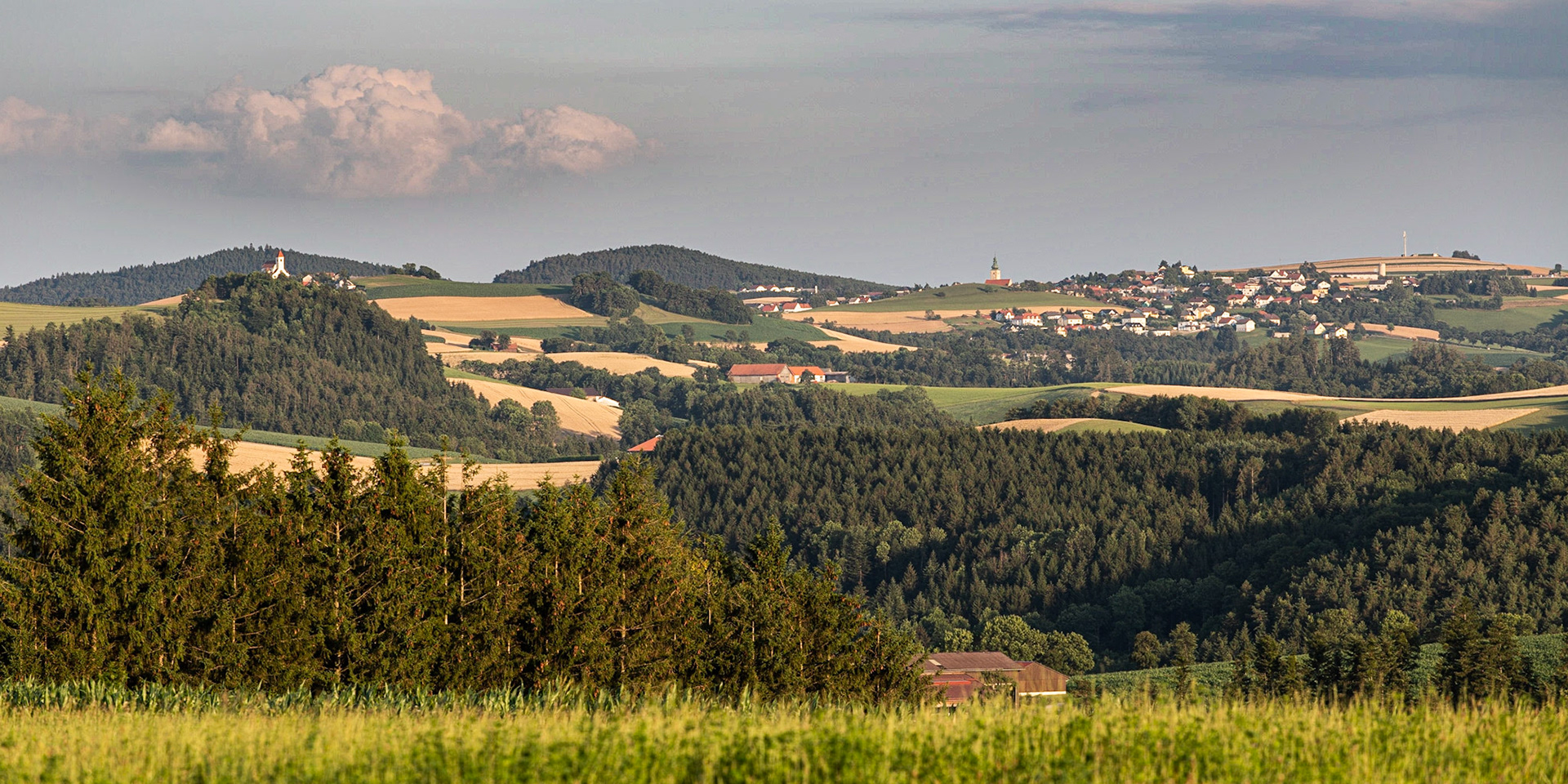 Bucklige Welt near Dreibuchen, Lower Austria