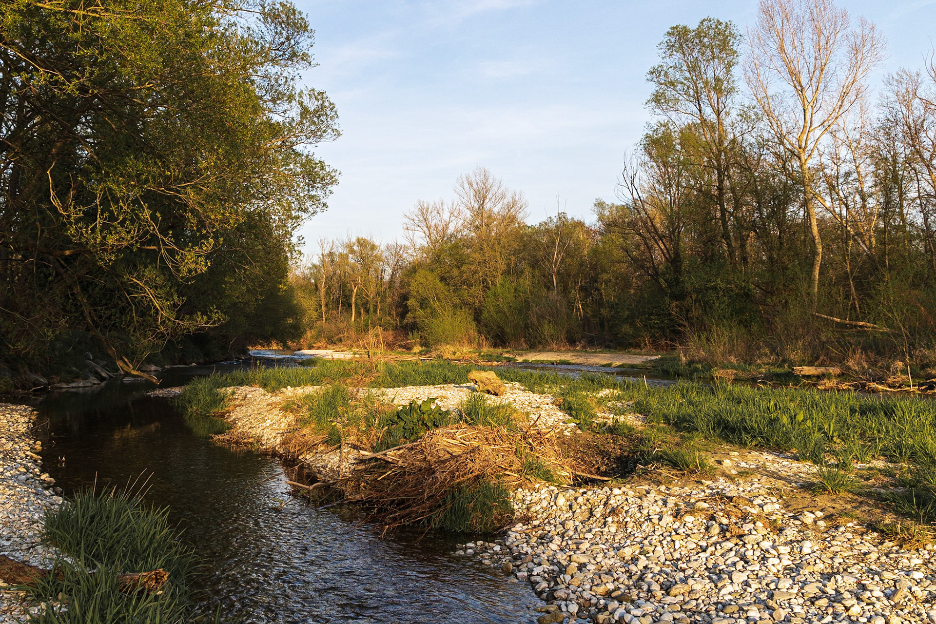 The Leitha, Lower Austria