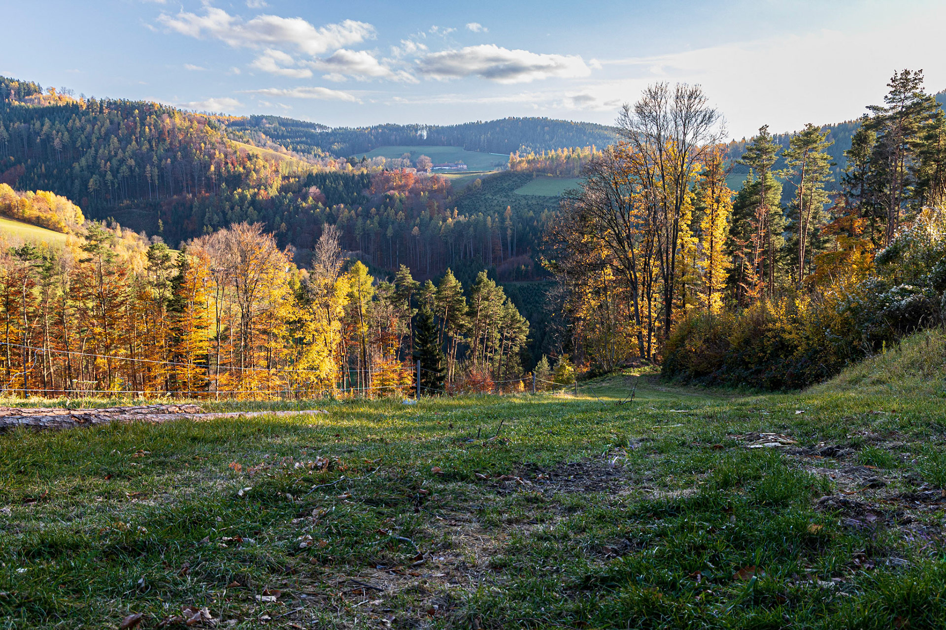 Autumn near Kienegg, Bucklige Welt, Lower Austria