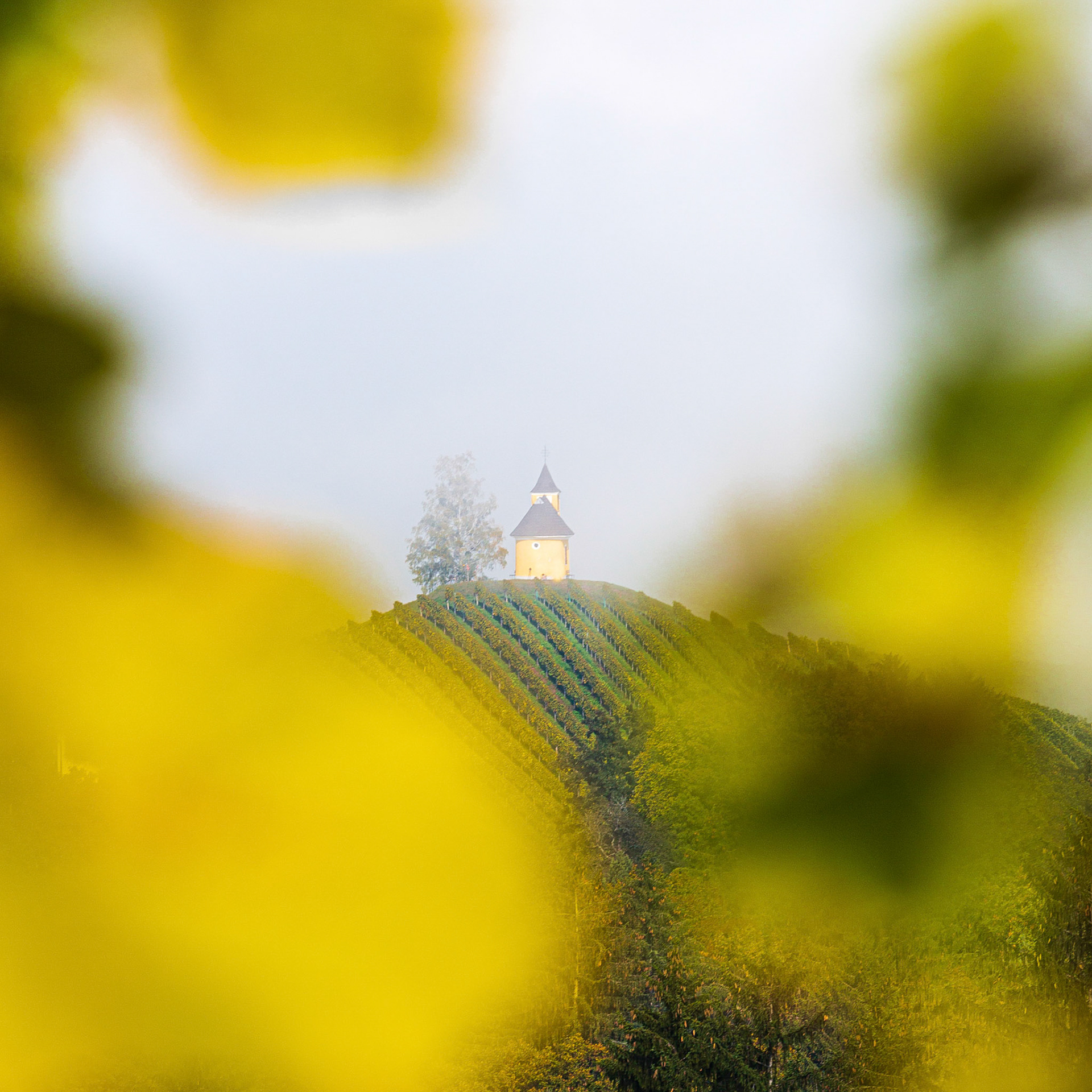 In the South of Styria, Austria.