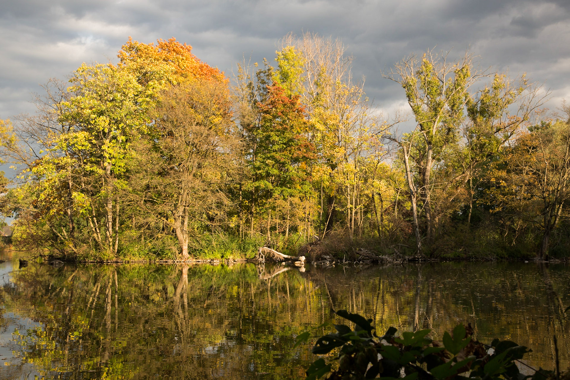 The Pionierteich in Wiener Neustadt, Lower Austria