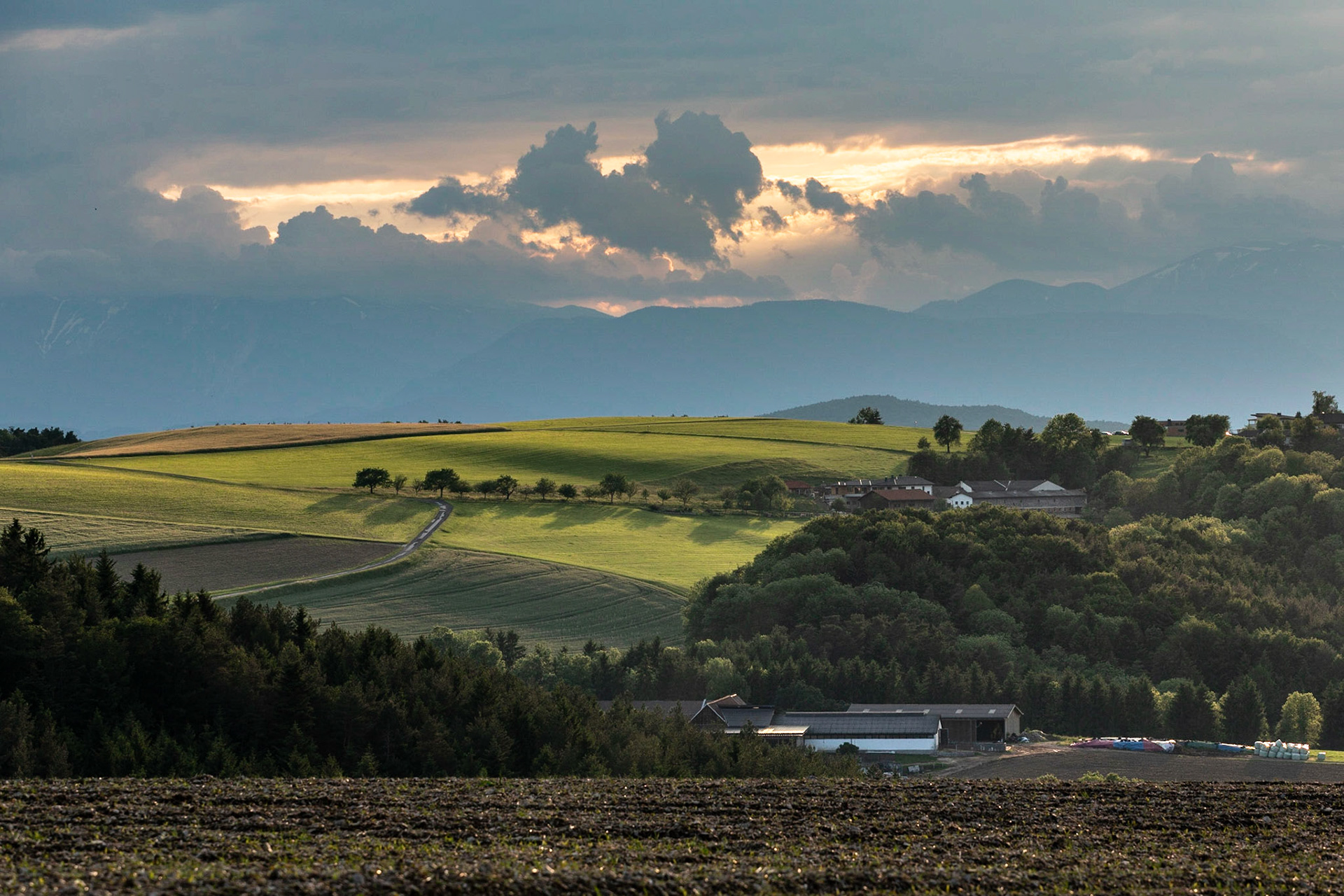 Bucklige Welt near Dreibuchen, Lower Austria