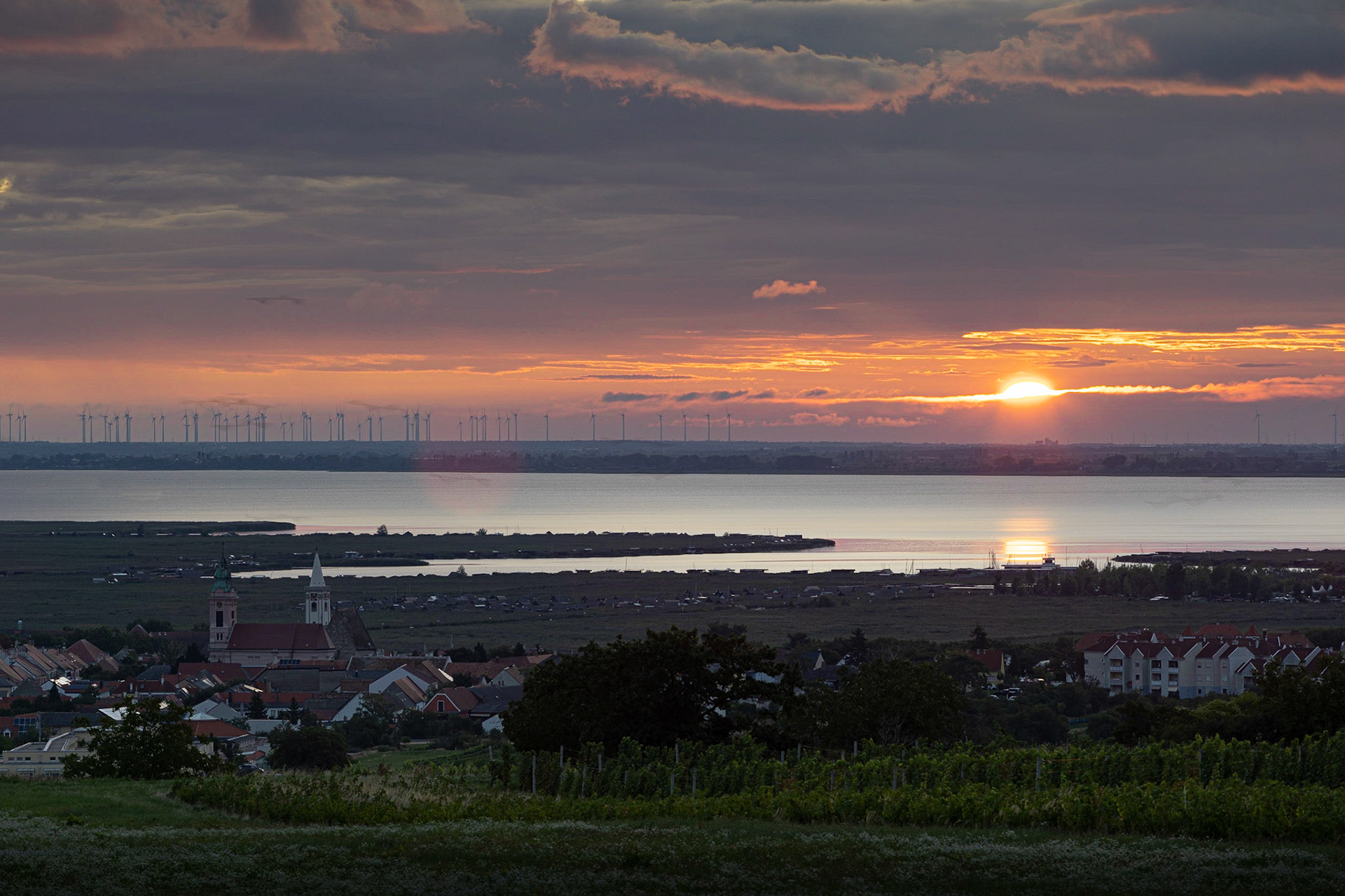 Morning at the Neusiedlersee, Burgenland, Austria