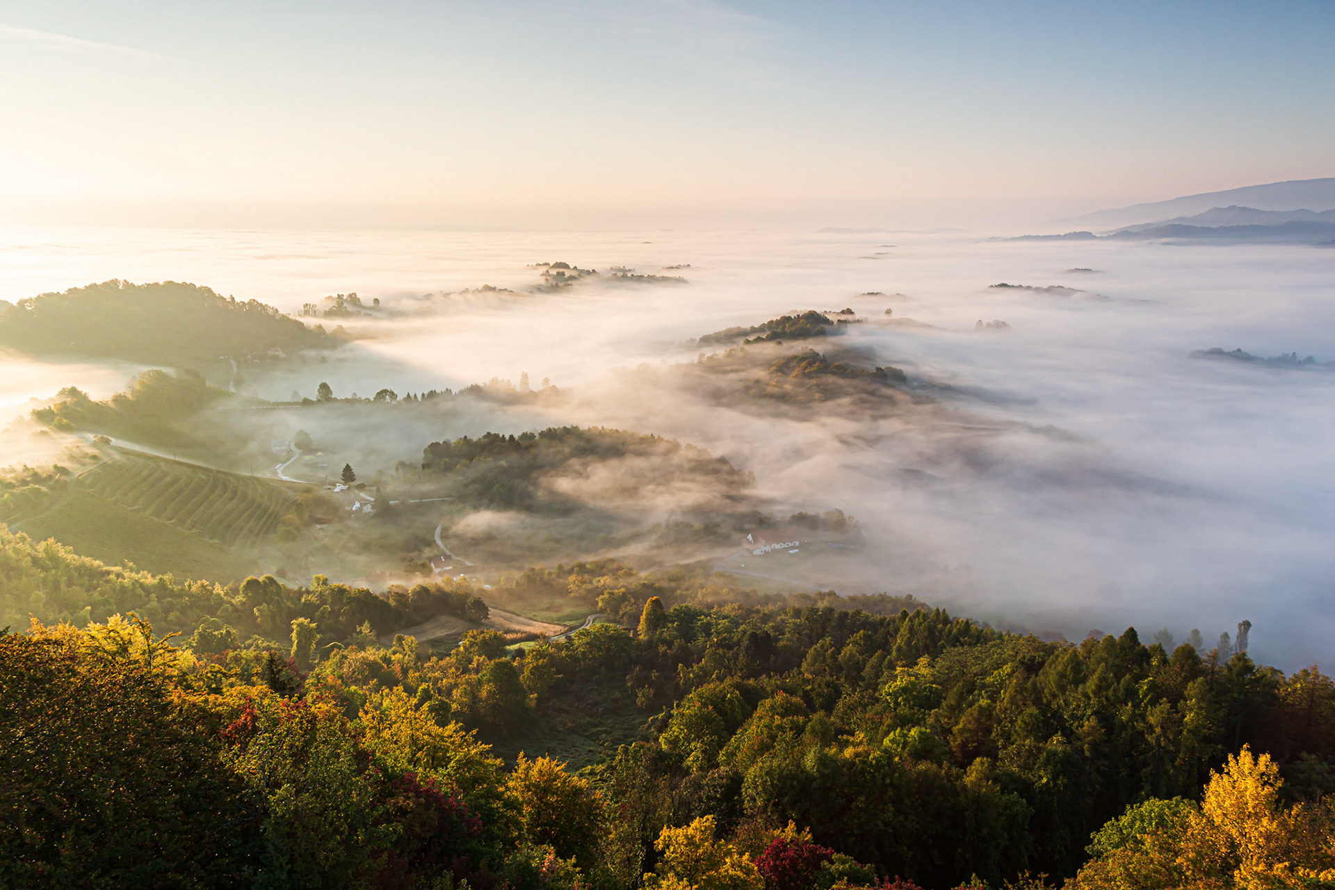In the South of Styria, Austria.