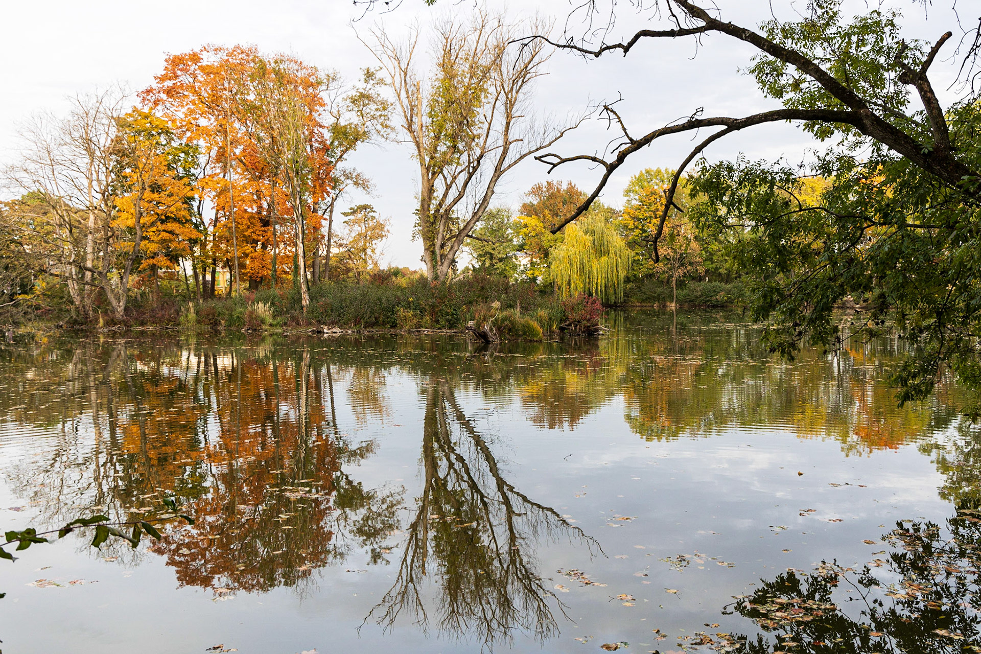 The Pionierteich in Wiener Neustadt, Lower Austria