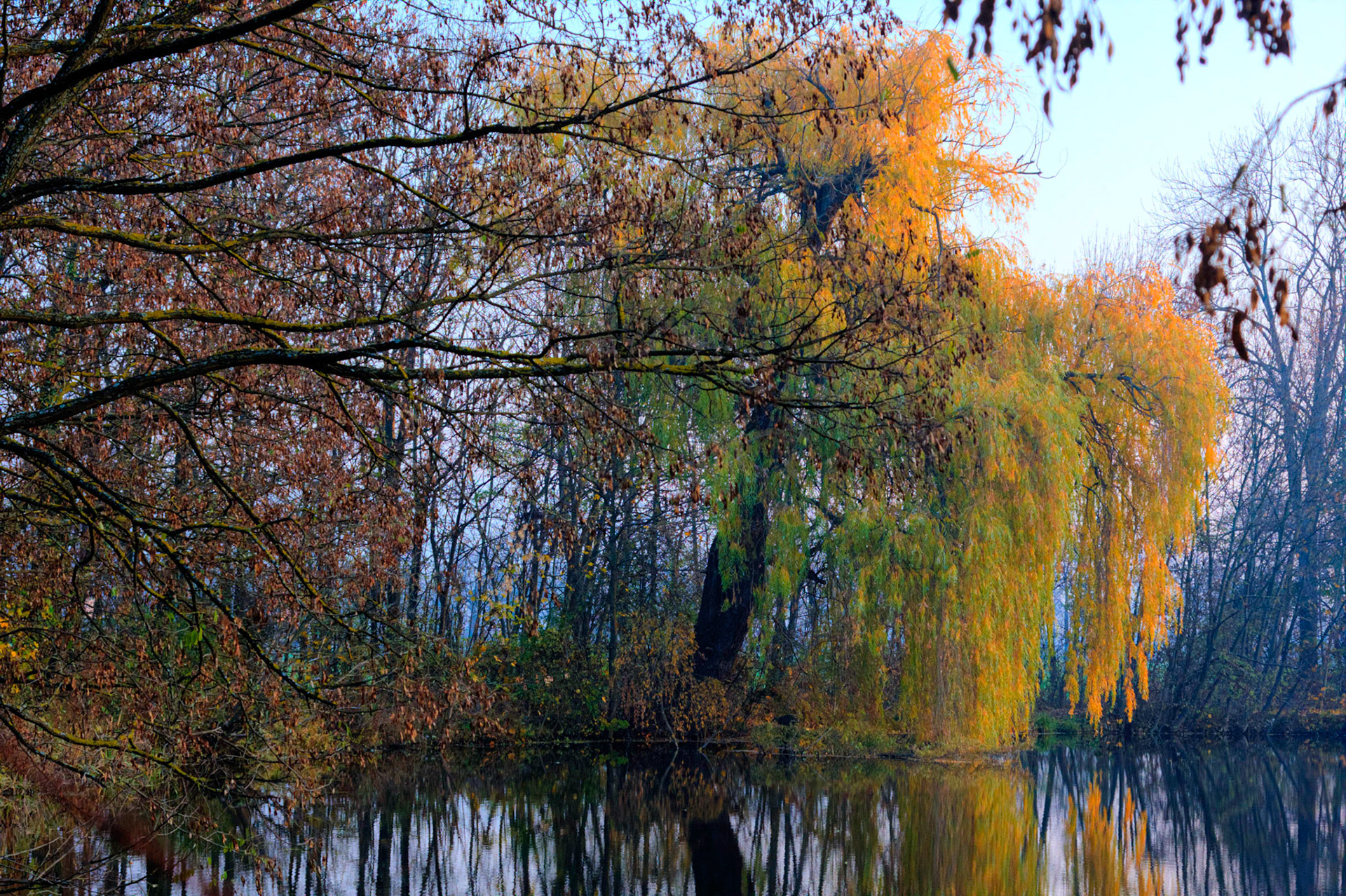 The Pionierteich in Wiener Neustadt, Lower Austria