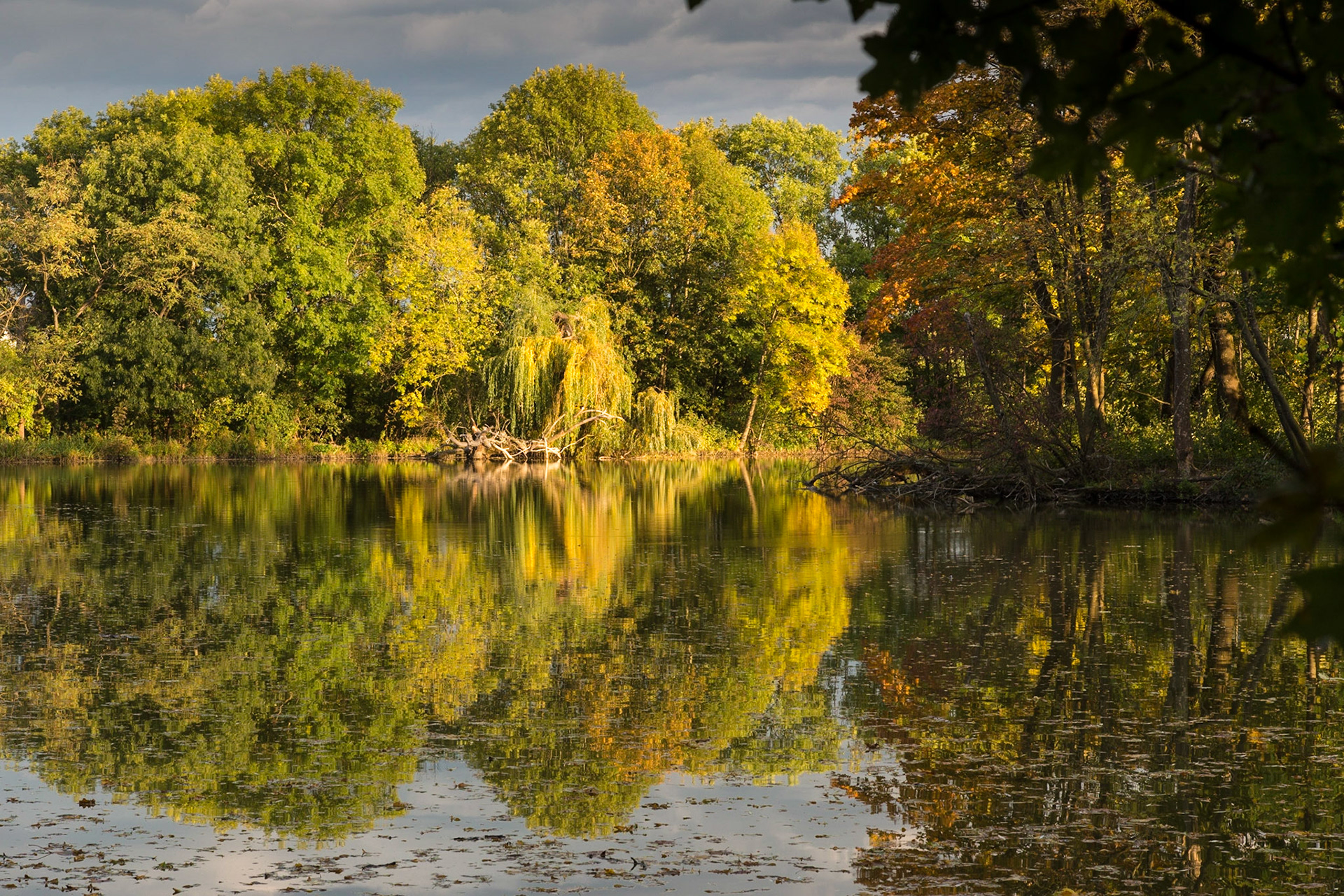 The Pionierteich in Wiener Neustadt, Lower Austria