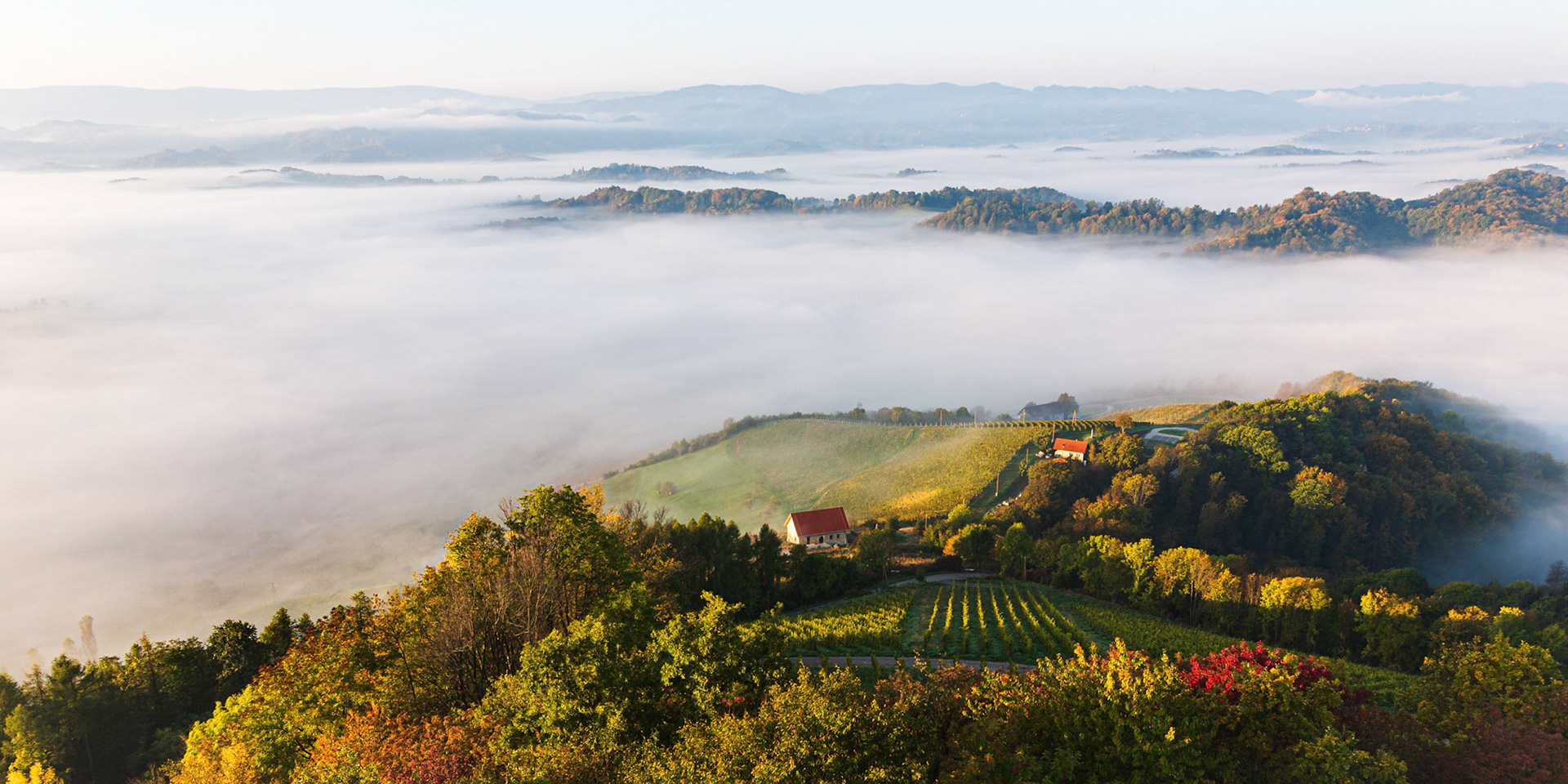 In the South of Styria, Austria.