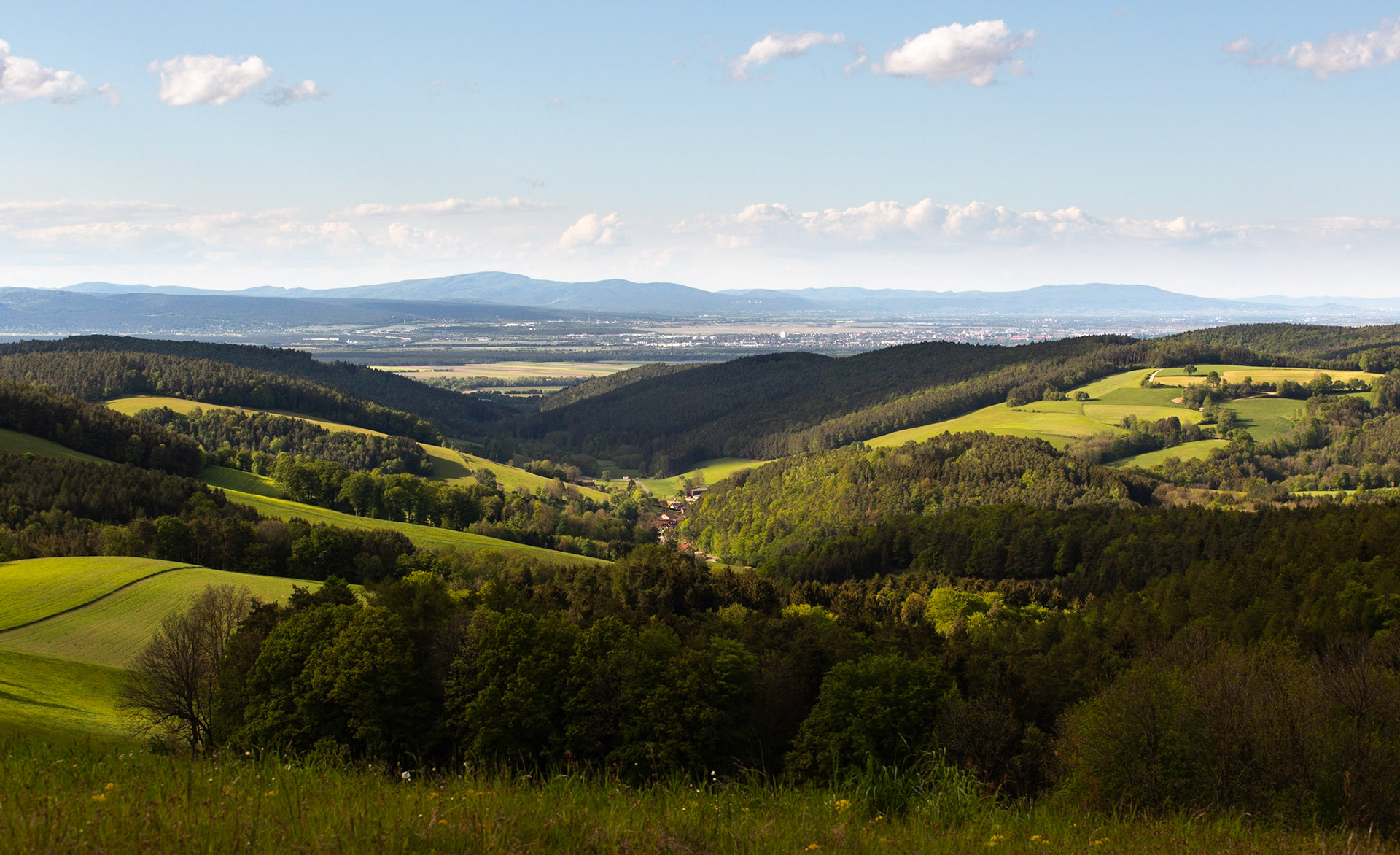 Bucklige Welt near Dreibuchen, Lower Austria