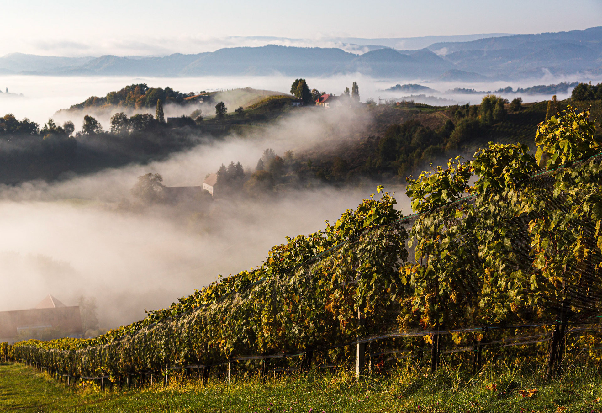 In the South of Styria, Austria.