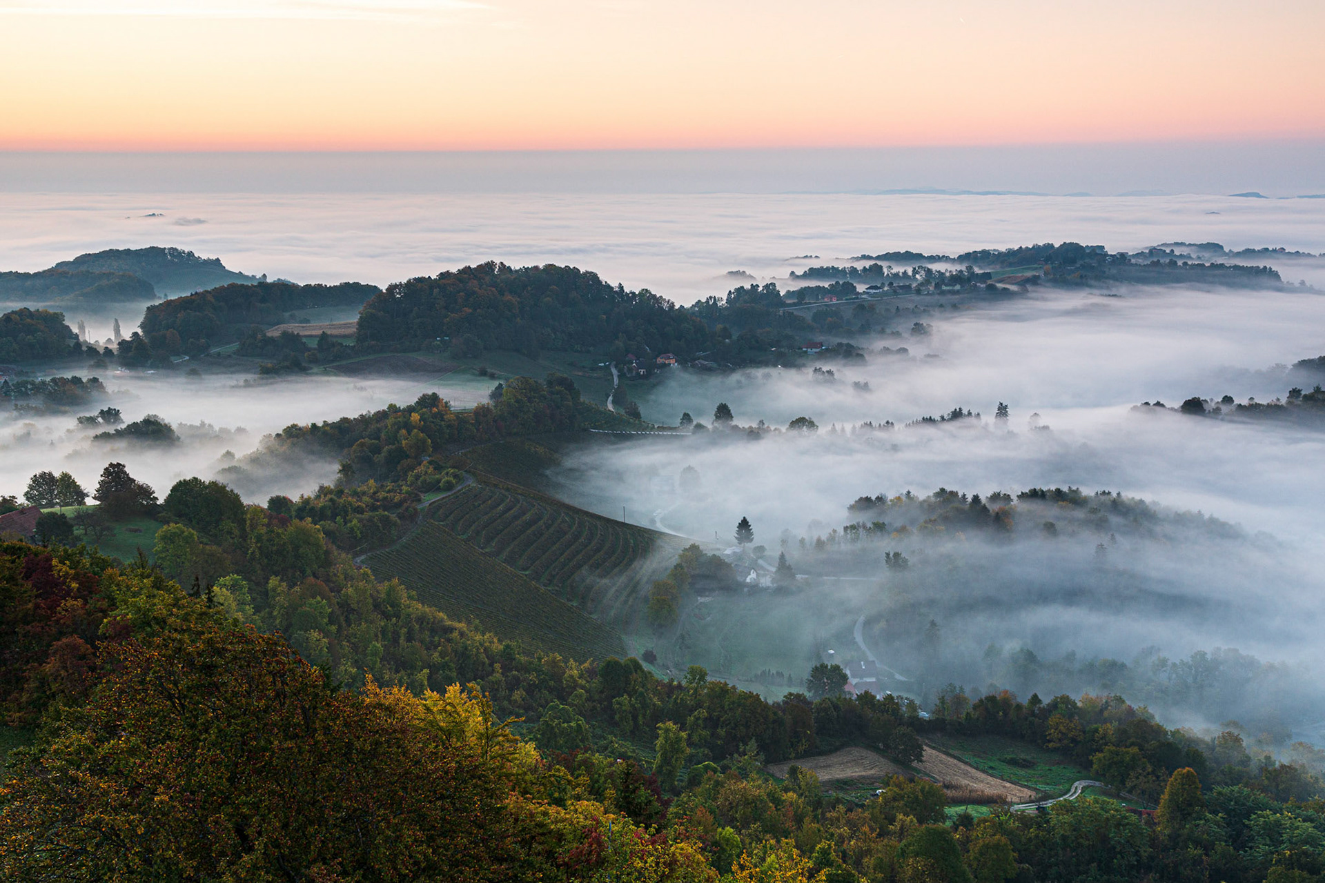 In the South of Styria, Austria.